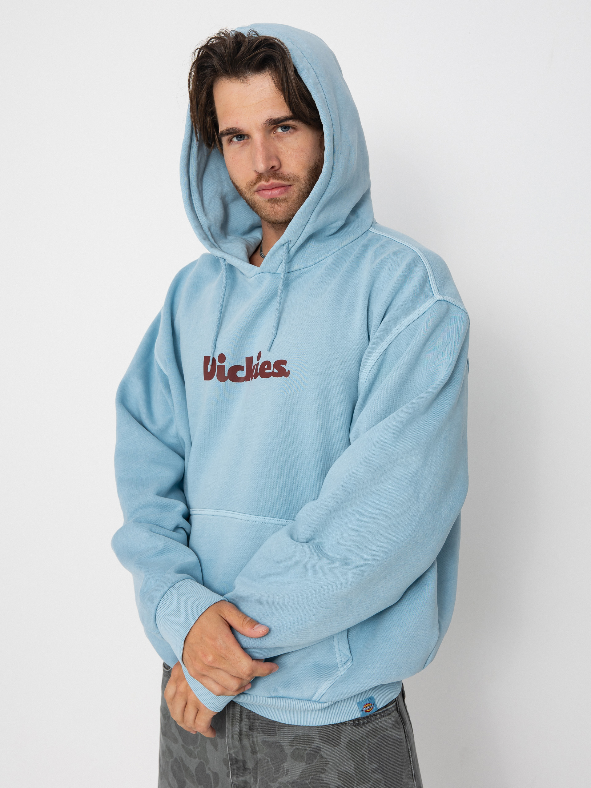 Dickies Slayden HD Hoodie (glacier lake)