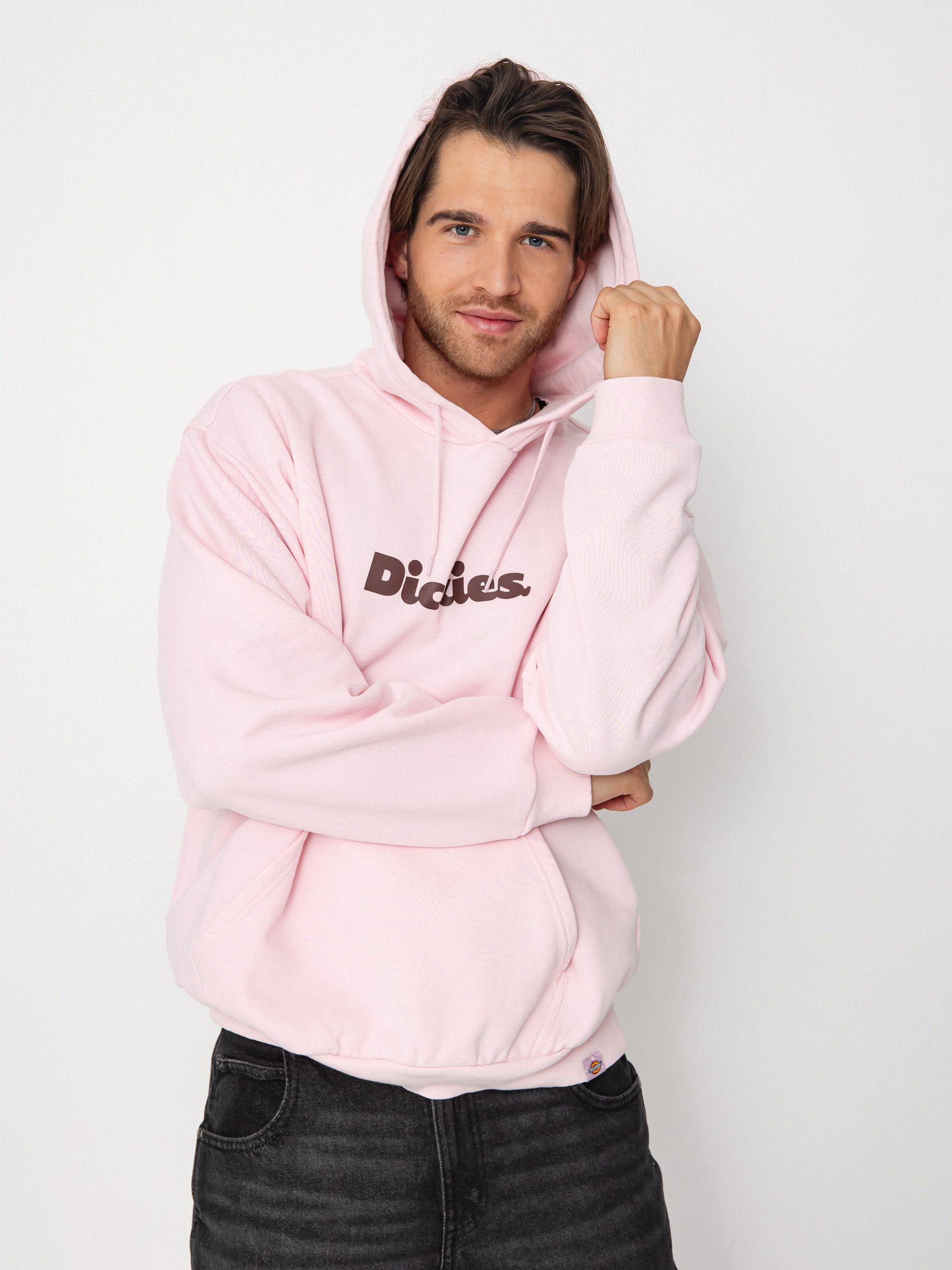 Dickies Slayden HD Hoodie (winsome orchid)