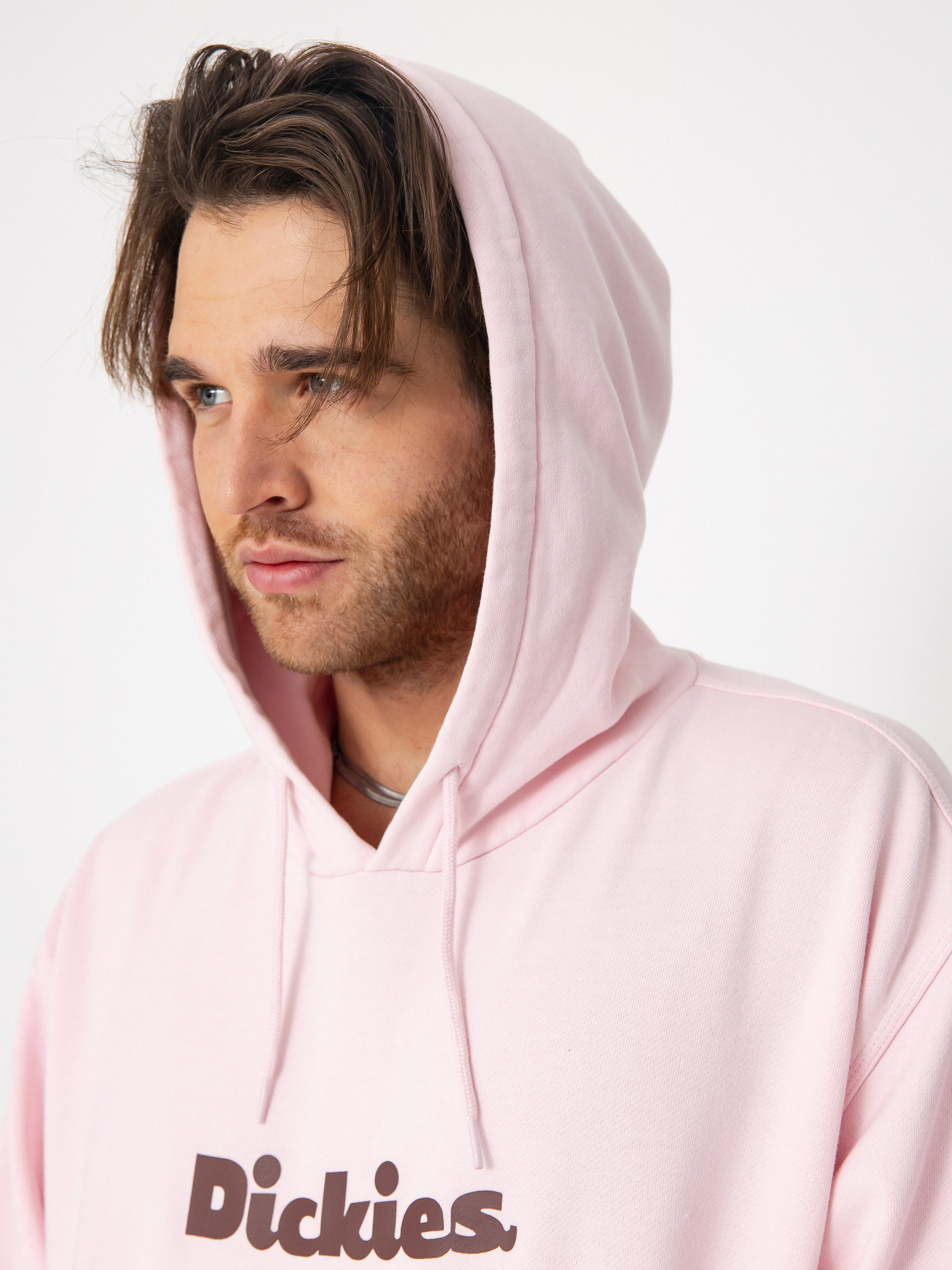 Dickies Slayden HD Hoodie (winsome orchid)