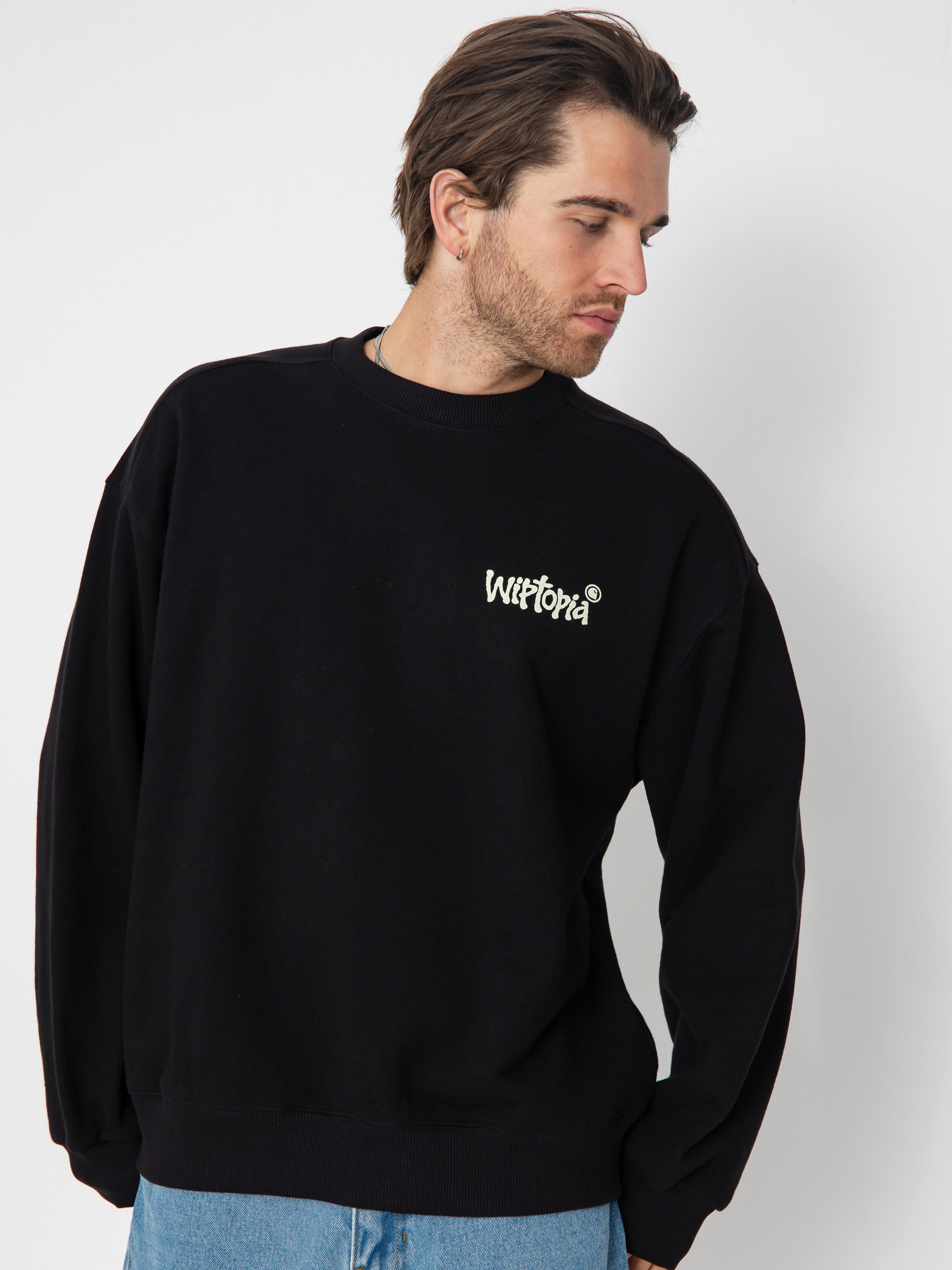 Carhartt WIP Wiptopia Sweatshirt (black)