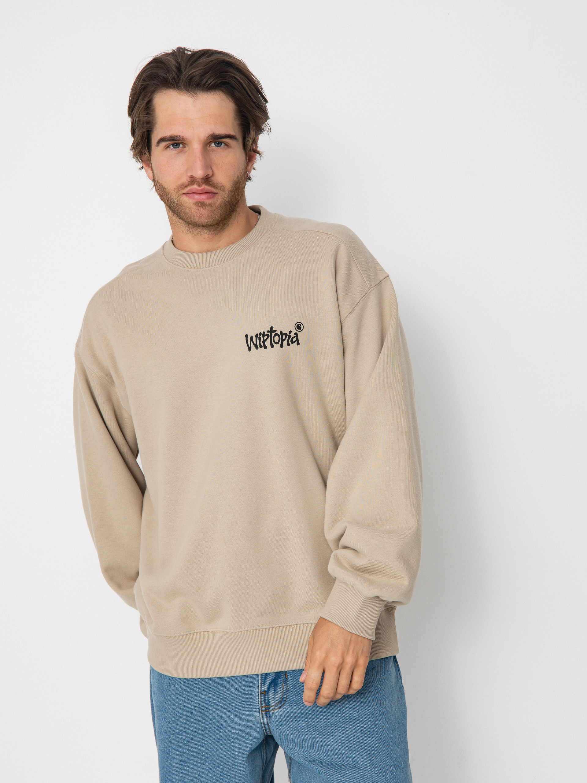 Carhartt WIP Wiptopia Sweatshirt (wall)