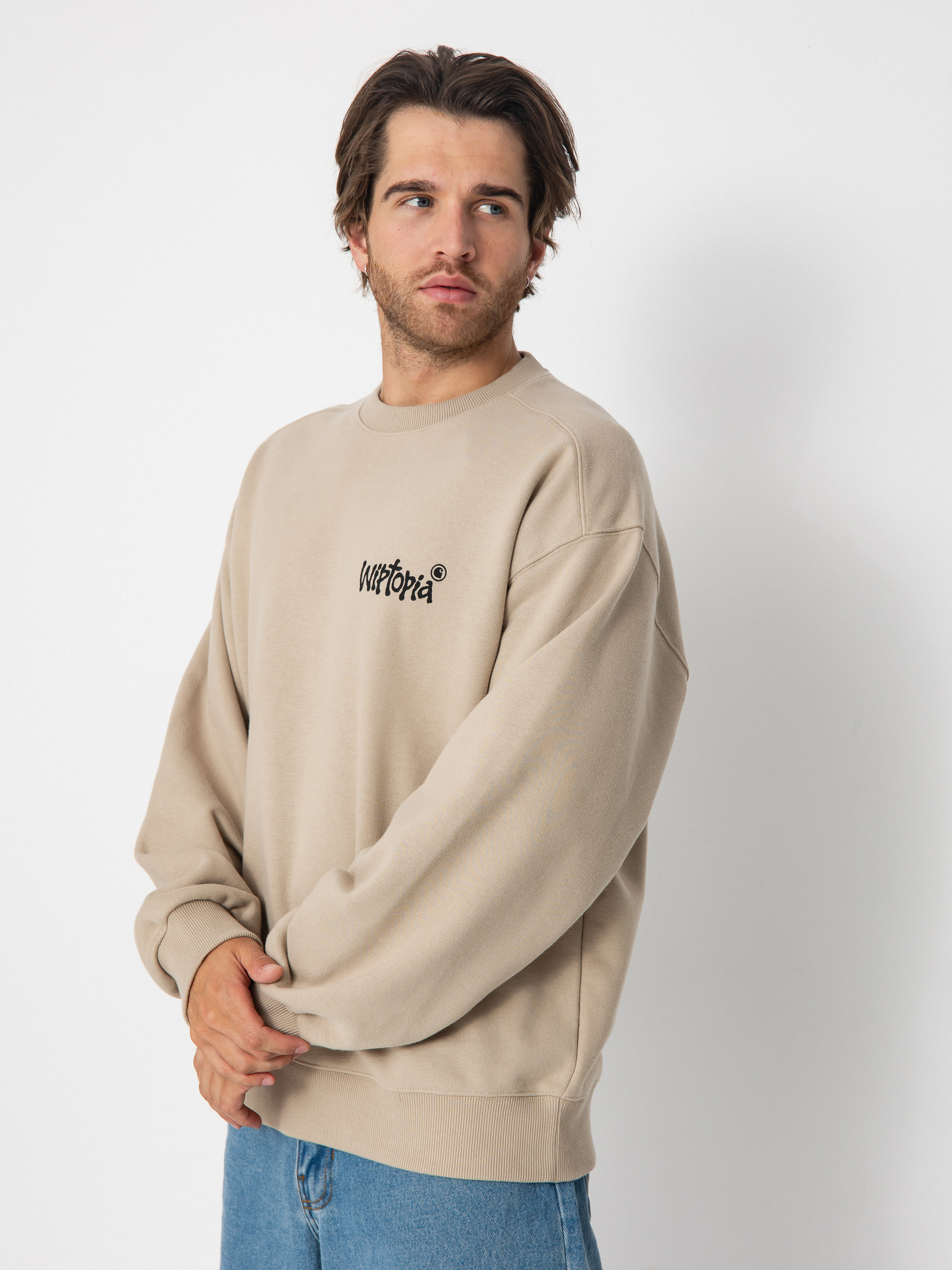 Carhartt WIP Wiptopia Sweatshirt (wall)