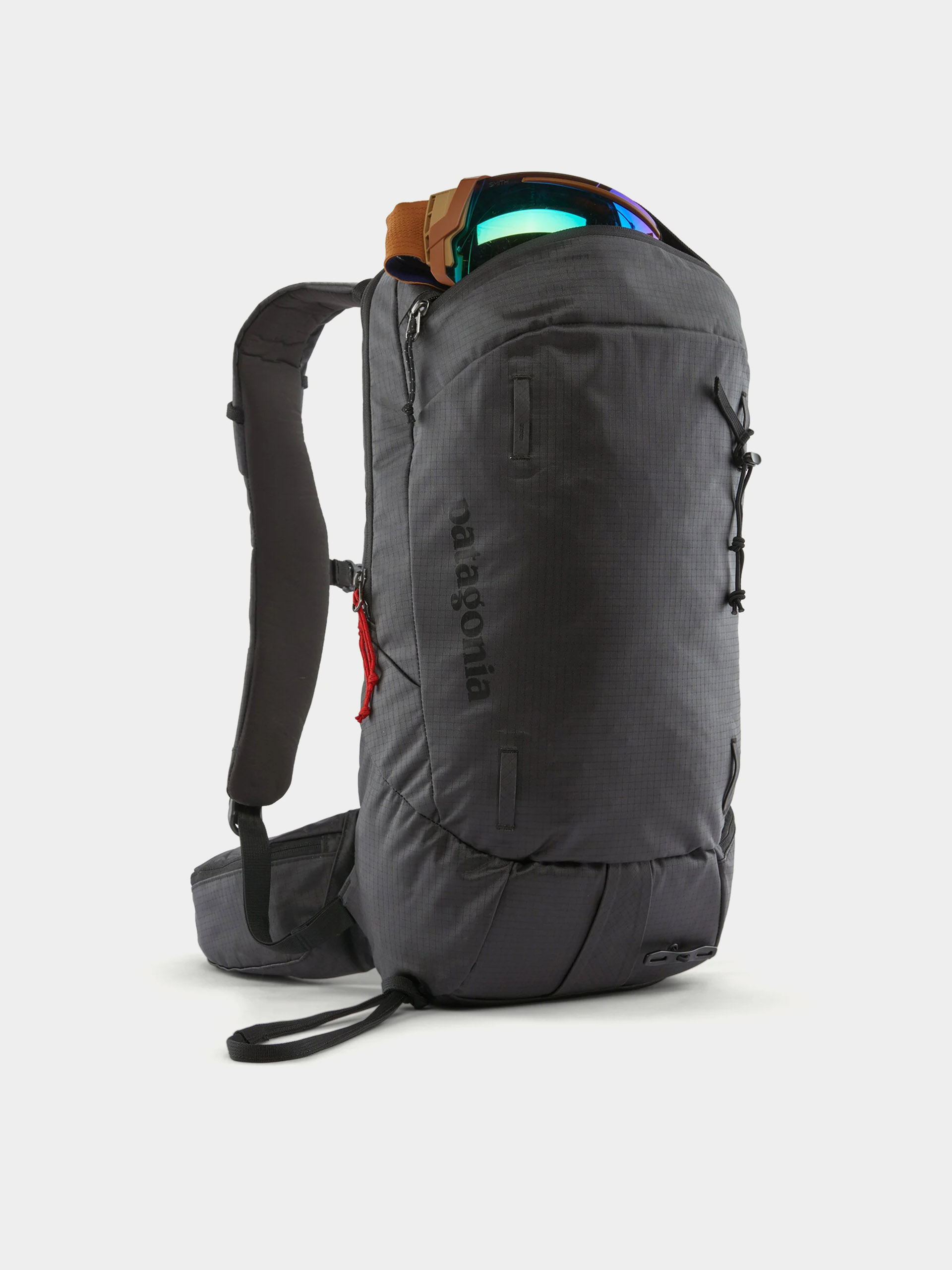 Patagonia Backpack Snowdrifter 20L (black)