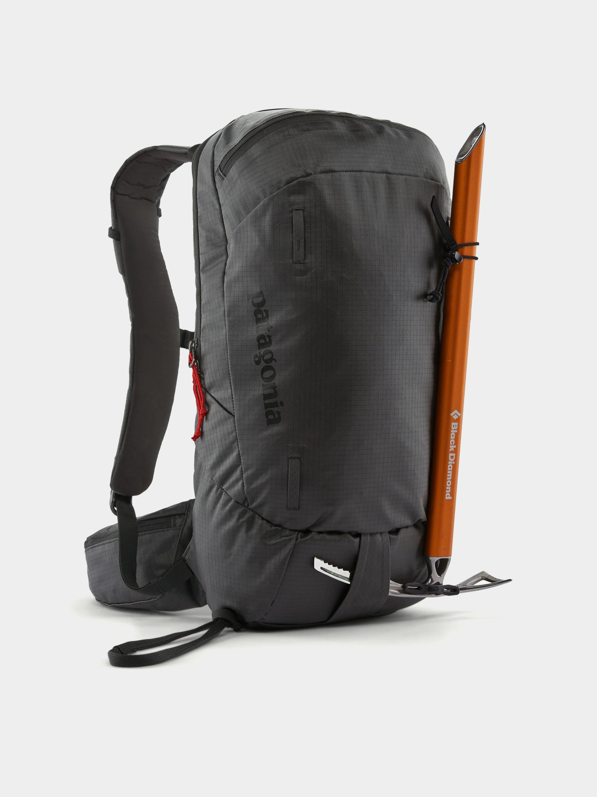 Patagonia Backpack Snowdrifter 20L (black)