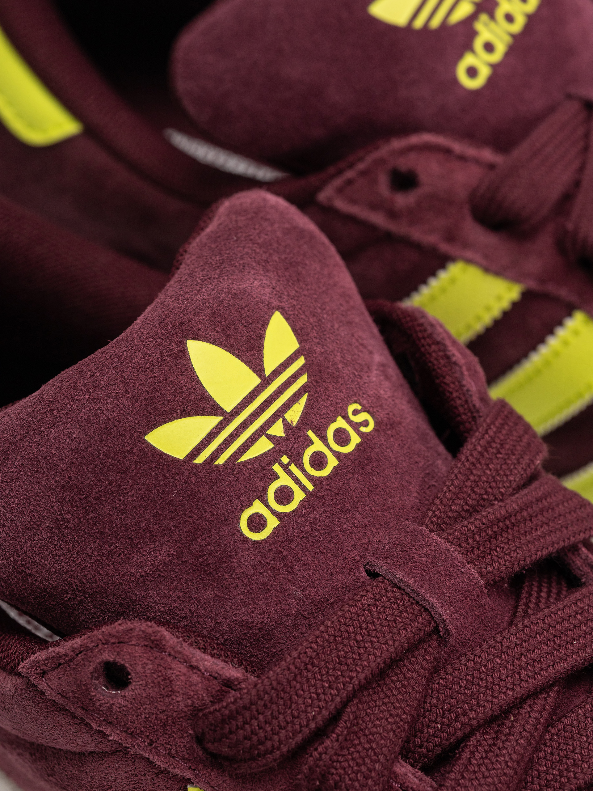 adidas Campus Adv Schuhe (maroon/sesoye/ftwwht)