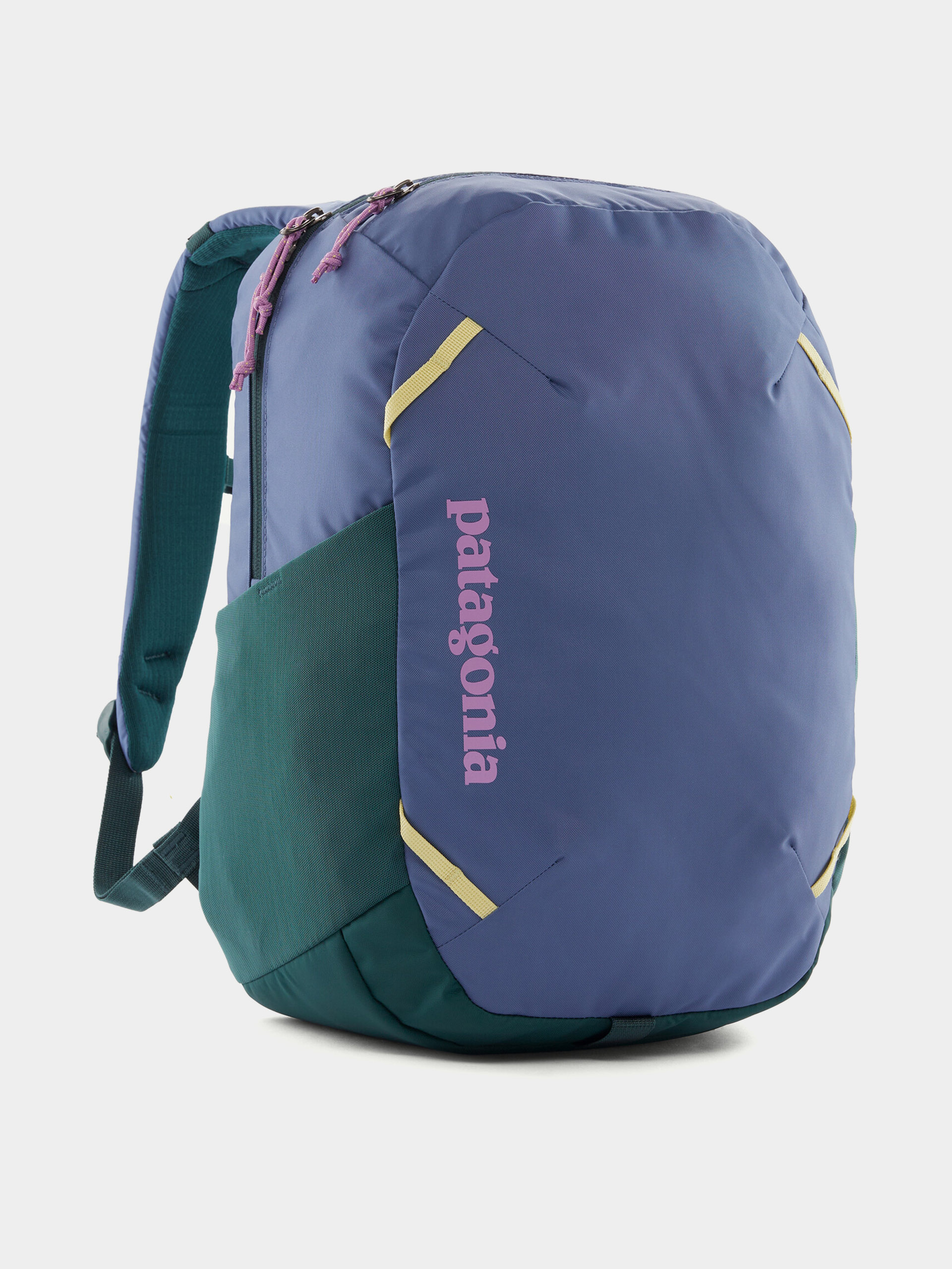 Patagonia Backpack Atom Day Pack 24L