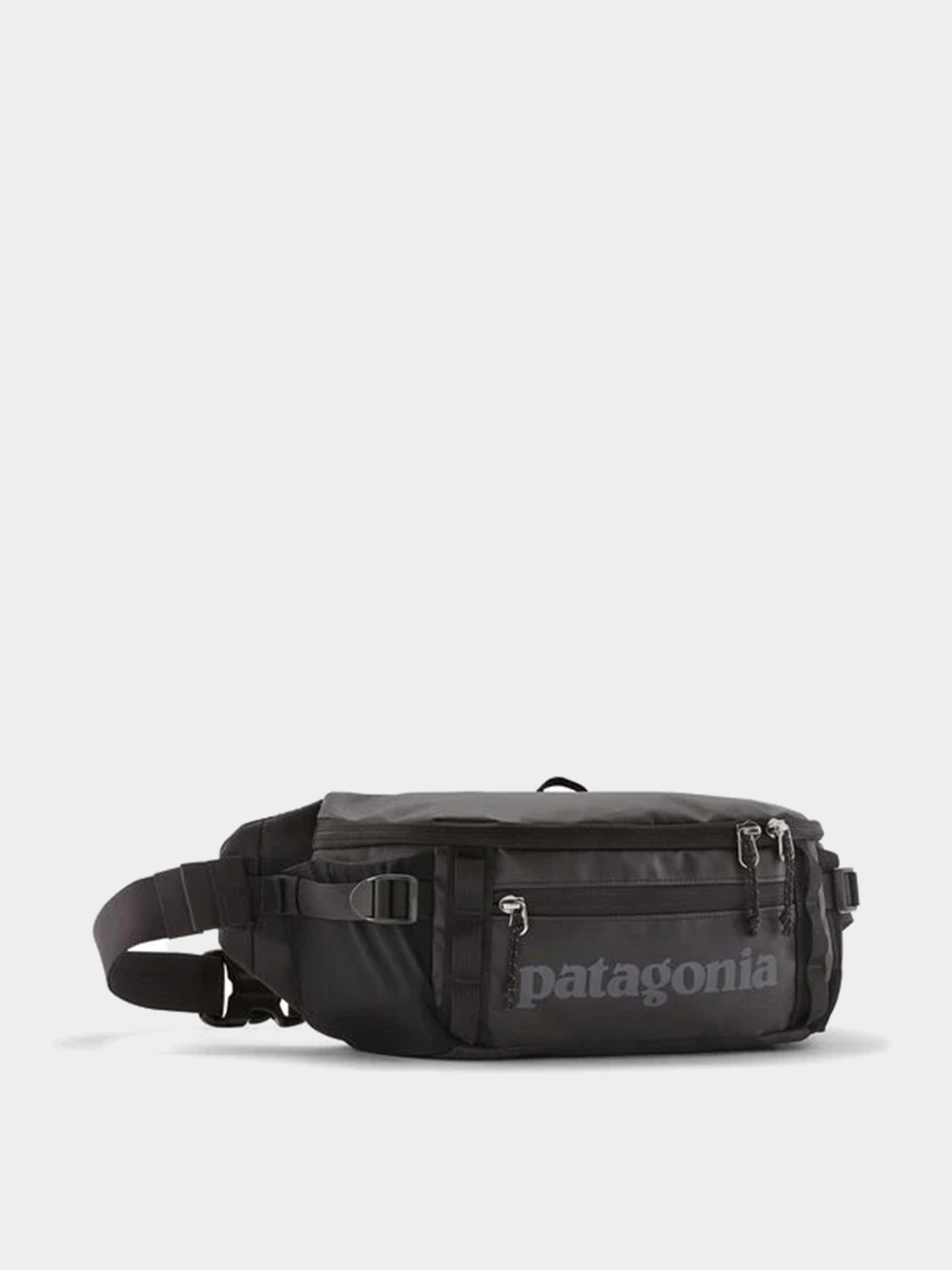 Patagonia Bum bag Black Hole Waist Pack 5L - black (black)