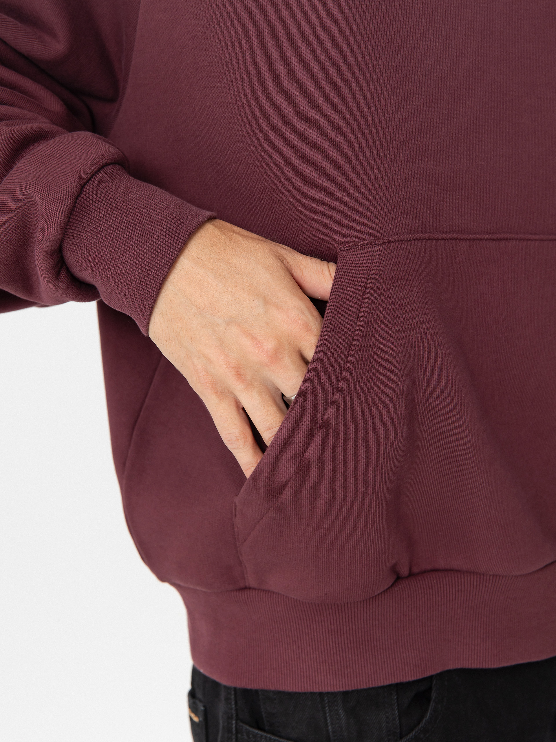 Carhartt WIP Ray HD Hoodie (rondo)