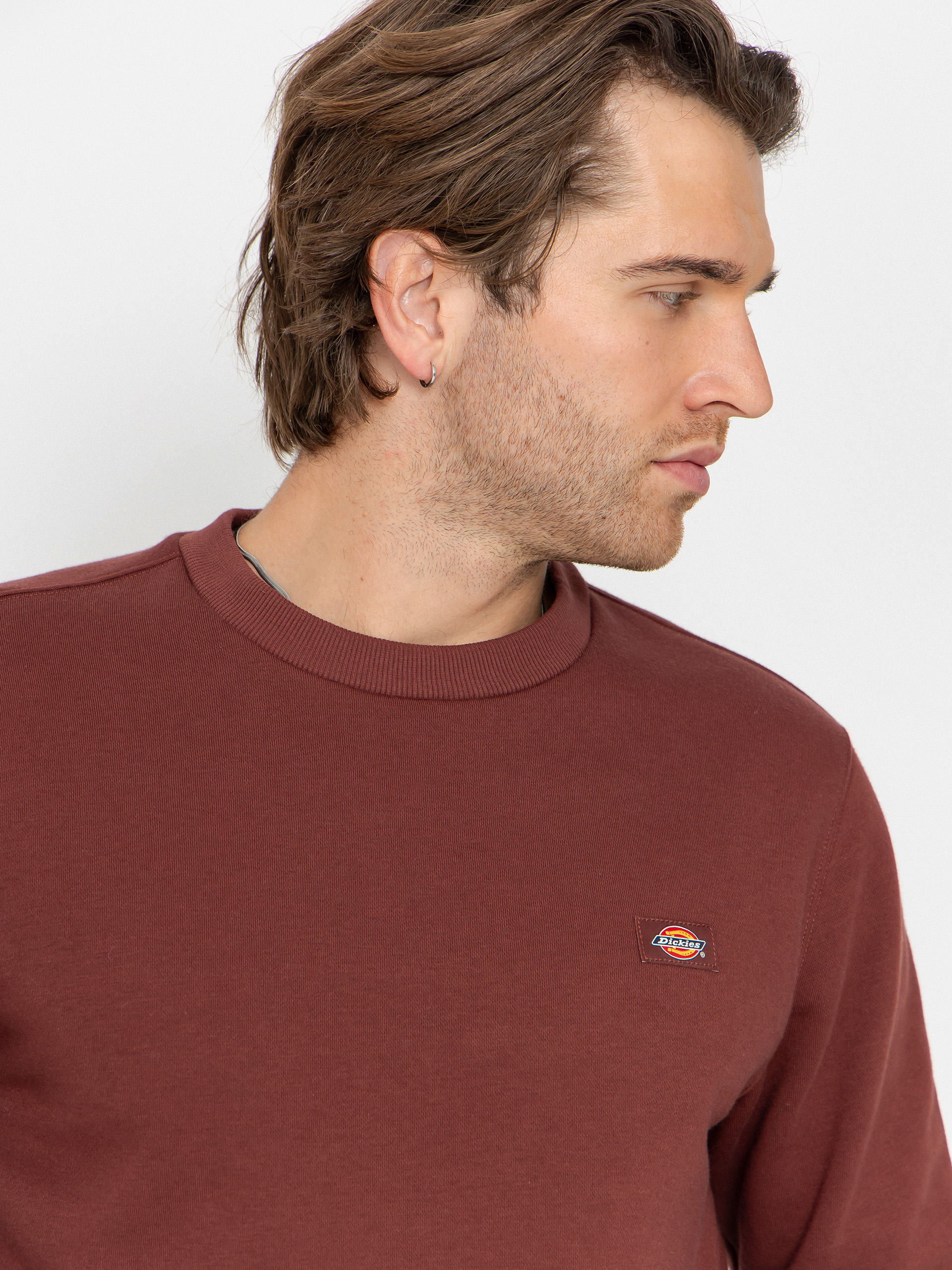 Dickies Oakport Sweatshirt (andorra)