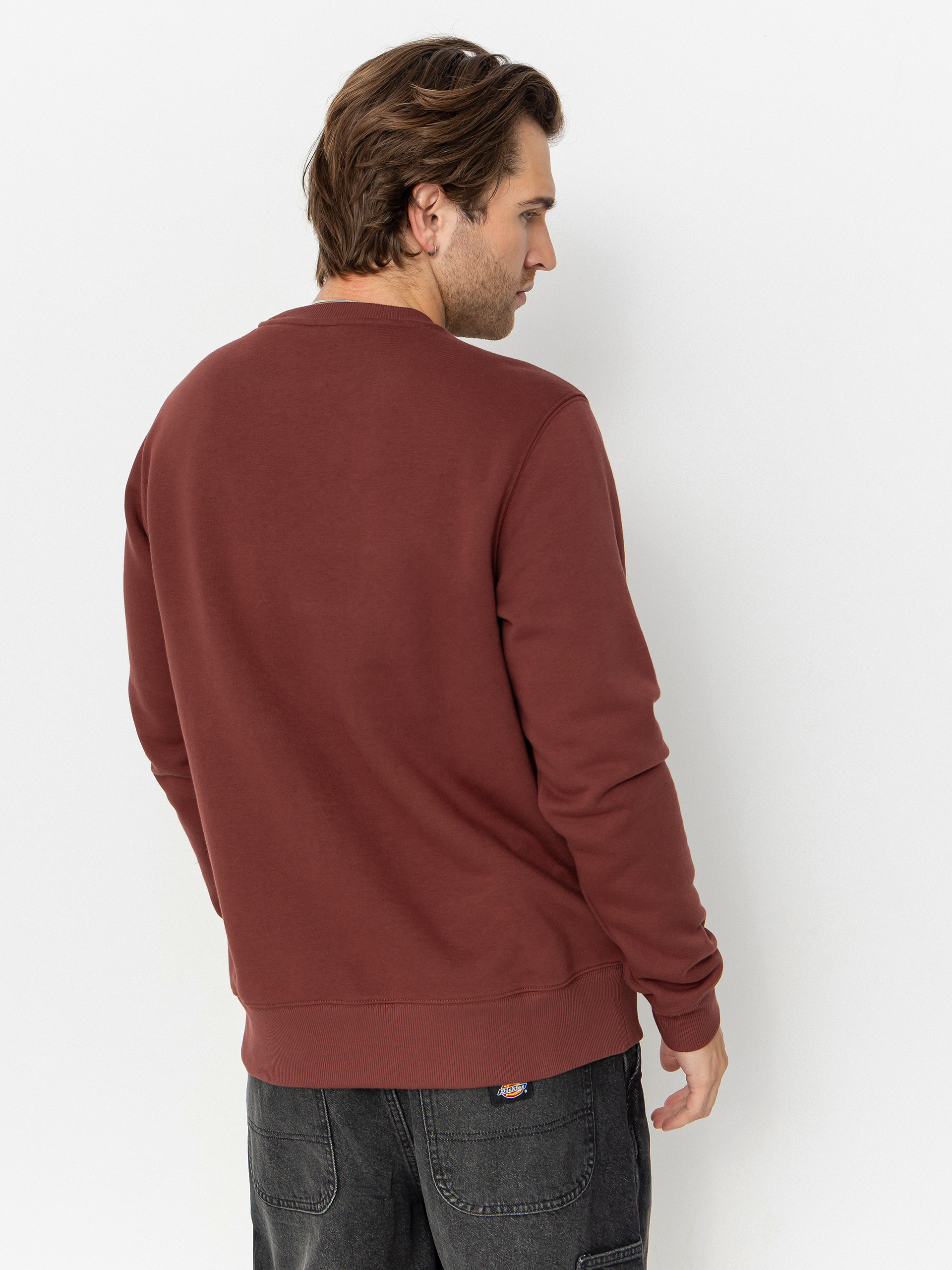 Dickies Oakport Sweatshirt (andorra)