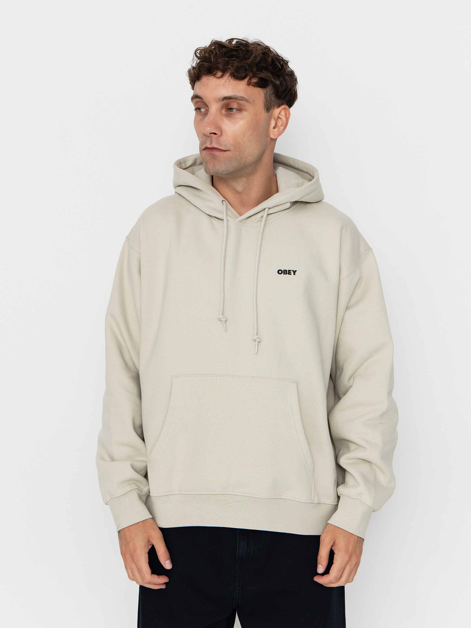 OBEY Obey Quarter Icon Sweatshirt (moonstruck)