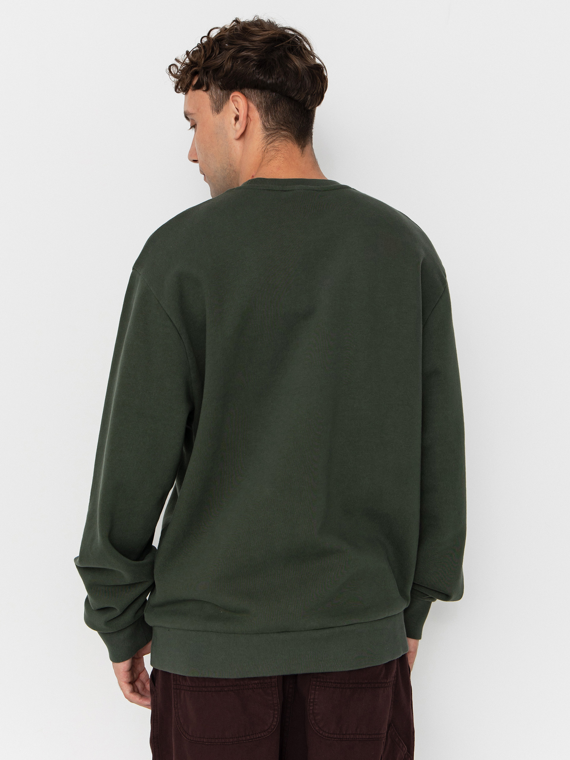 Carhartt WIP Sweatshirt Script Embroidery (opuntia/white)