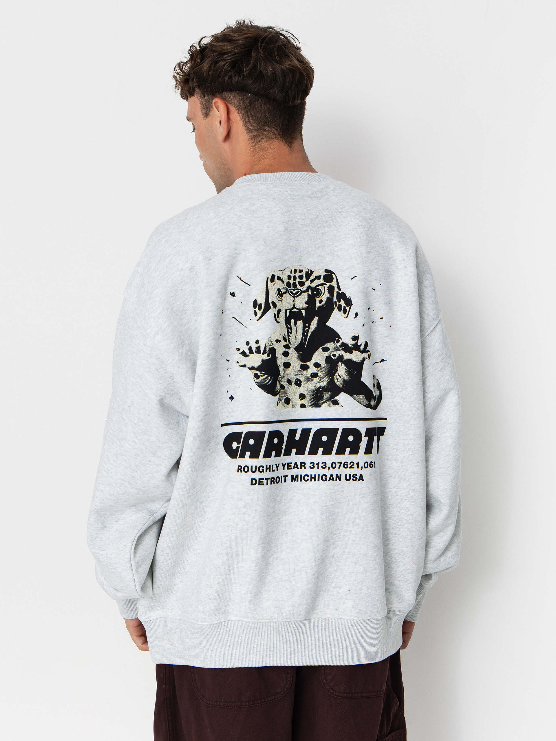 PEOPLE 1 SWEAT TOPS / ASH GRAY　XL Carhartt WIP Sweatshirt Wiptopia - grey (ash heather)