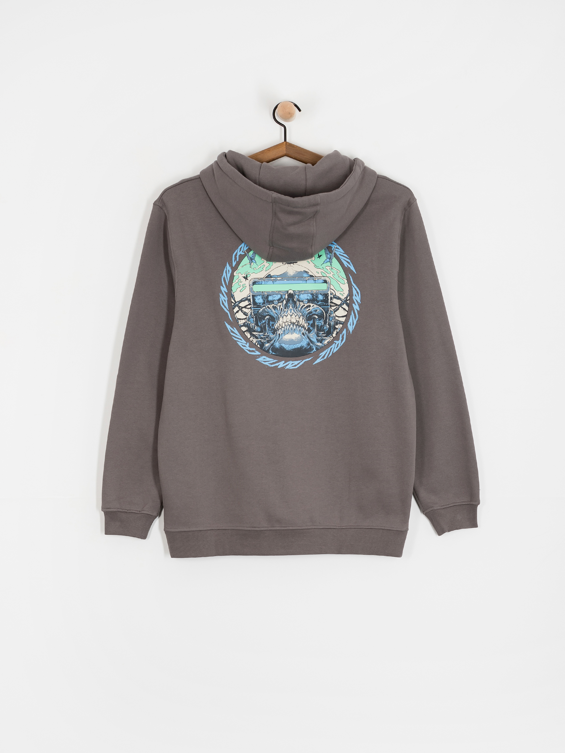 Santa Cruz Sweatshirt Wooten Cyber (flint)