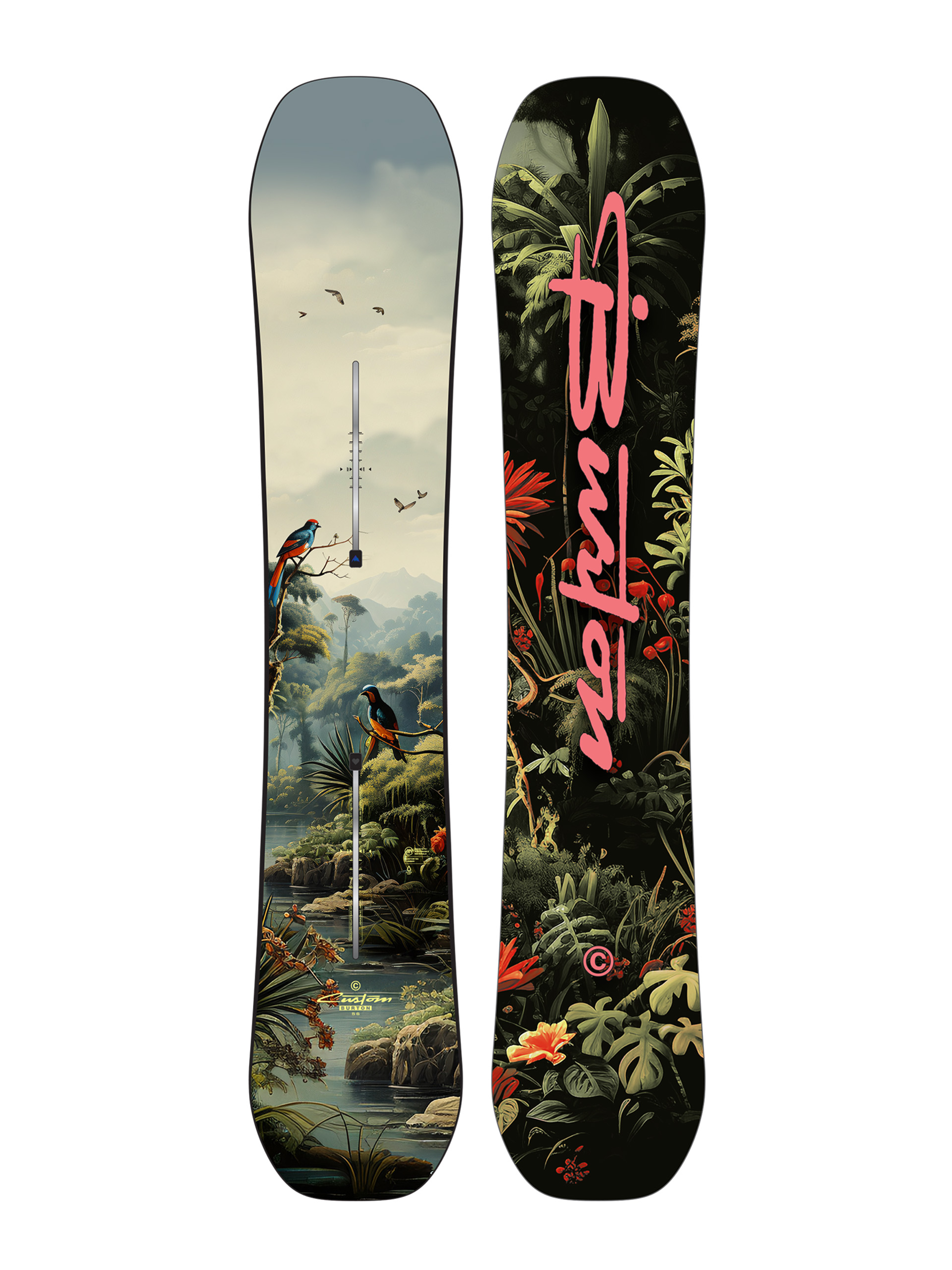 Burton Snowboard Custom