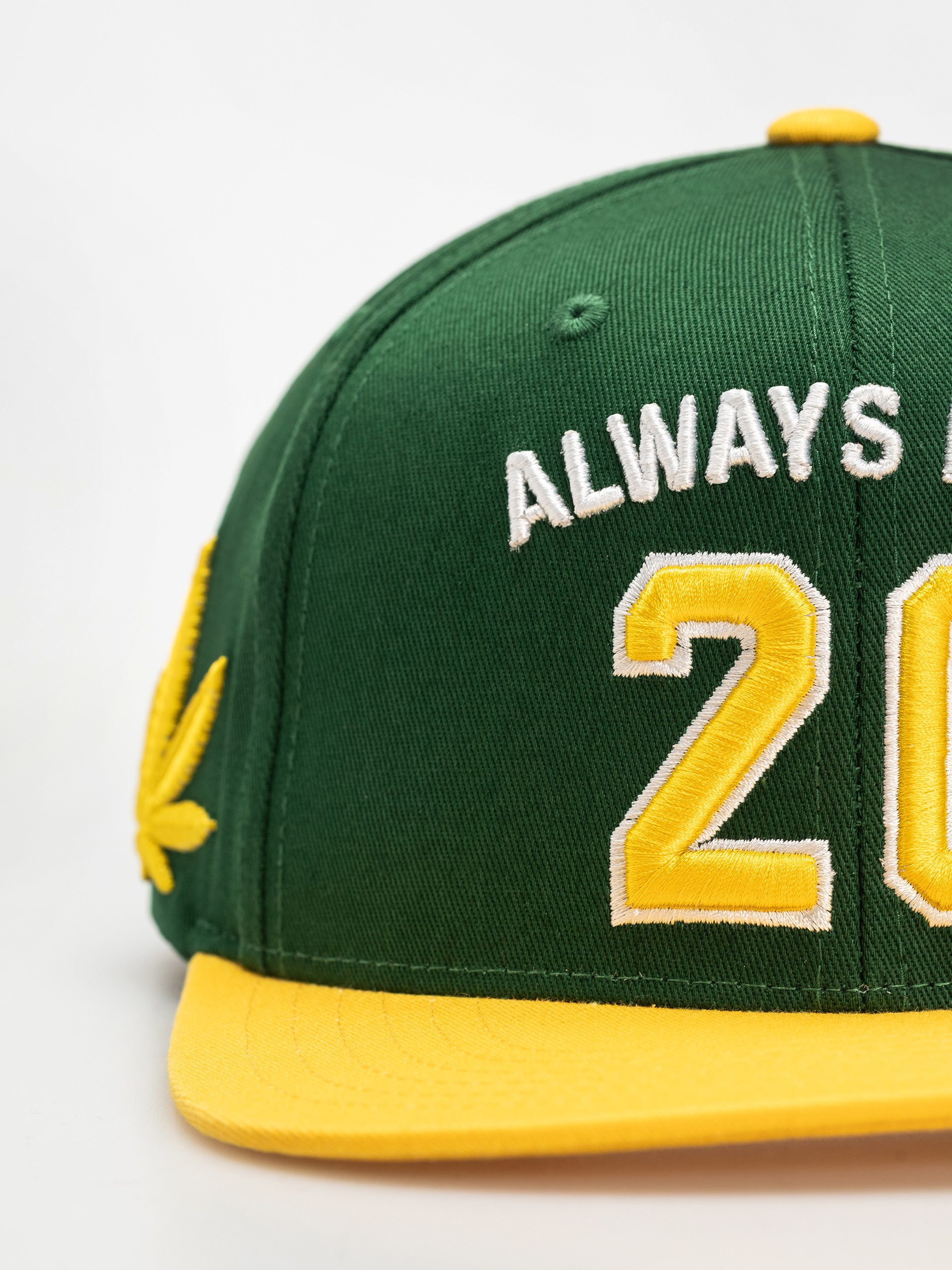 DGK Cap Team Indica Snap (green)