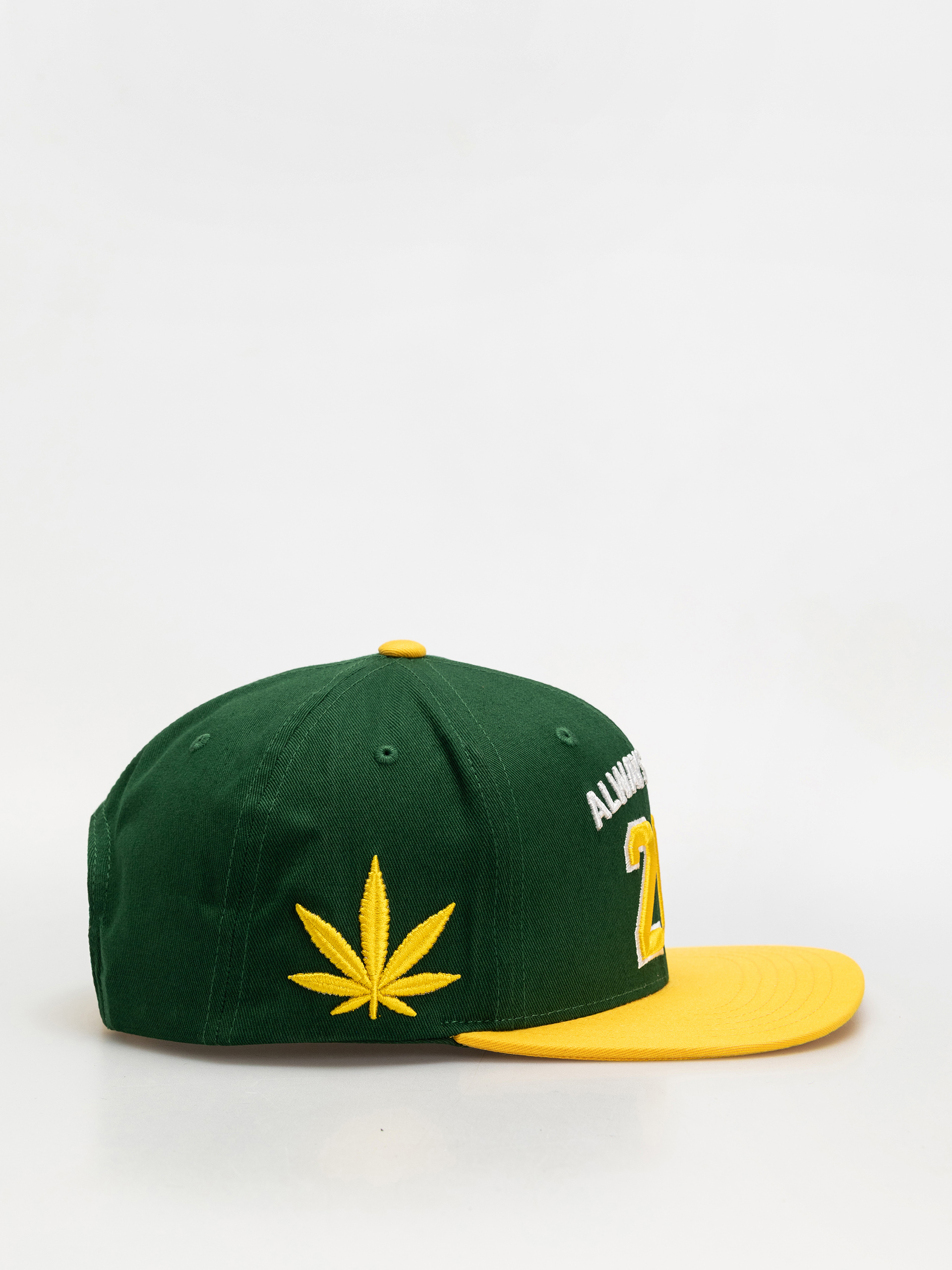 DGK Cap Team Indica Snap (green)