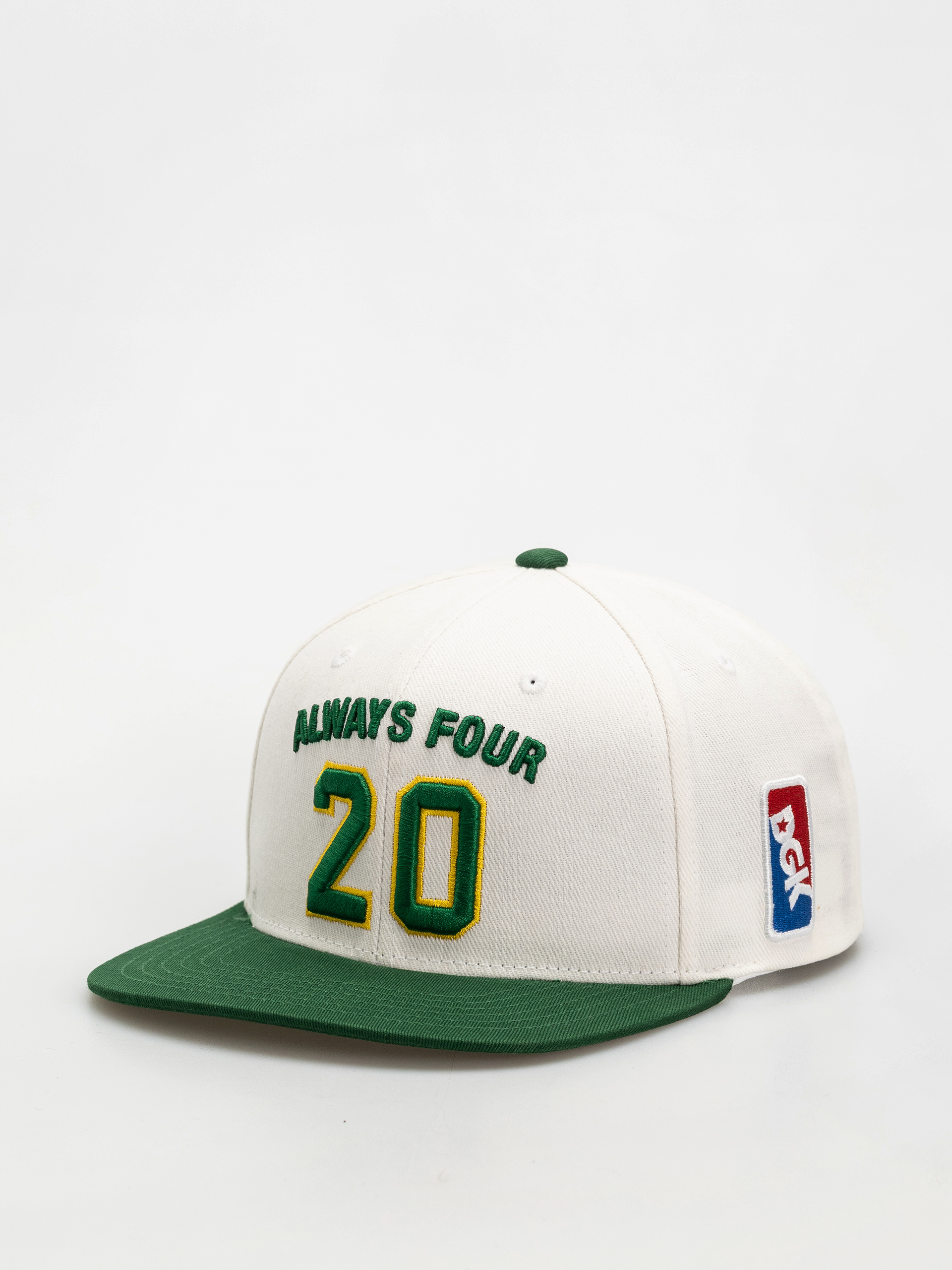 DGK Cap Team Indica Snap