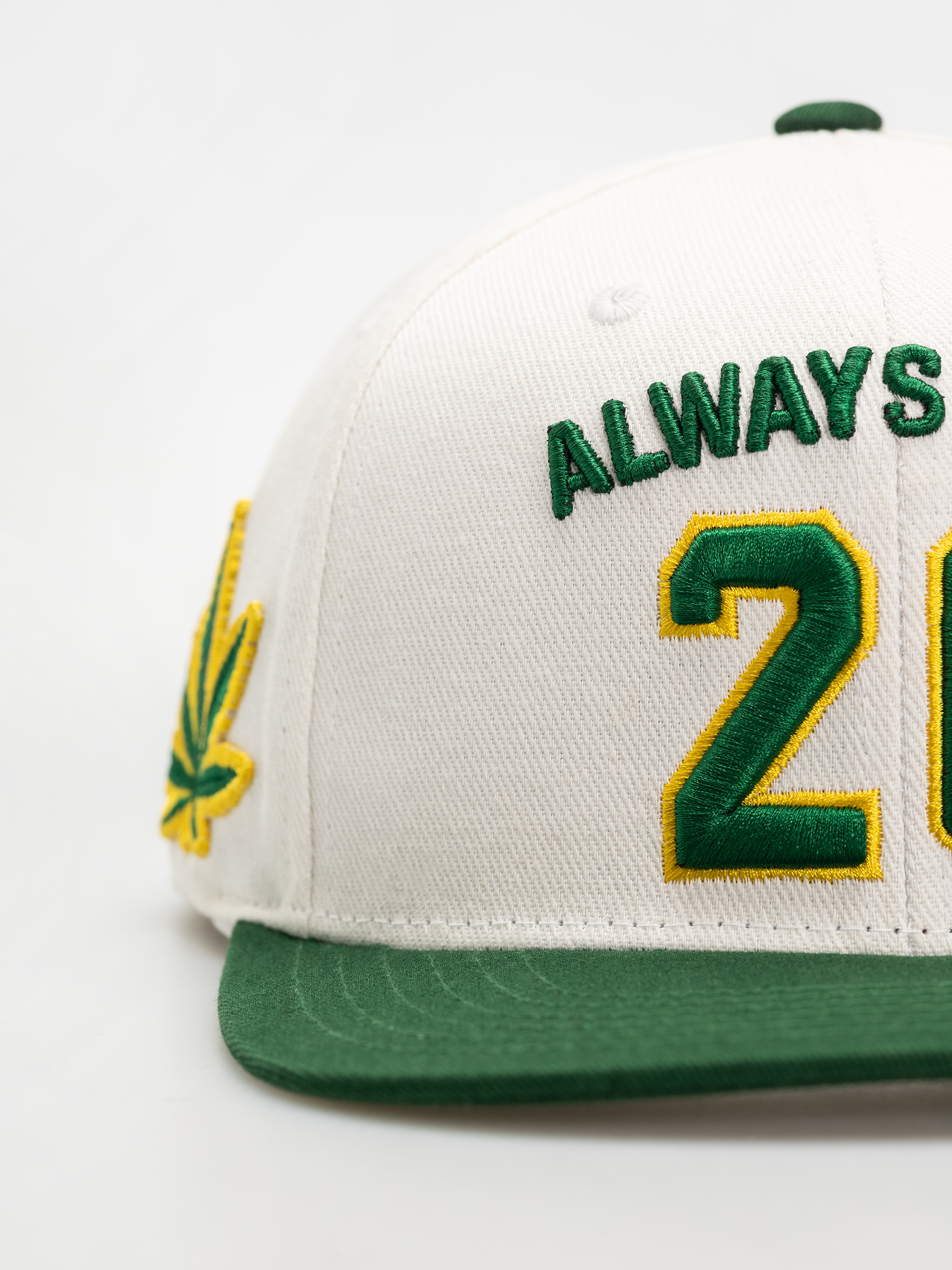 DGK Cap Team Indica Snap (white)