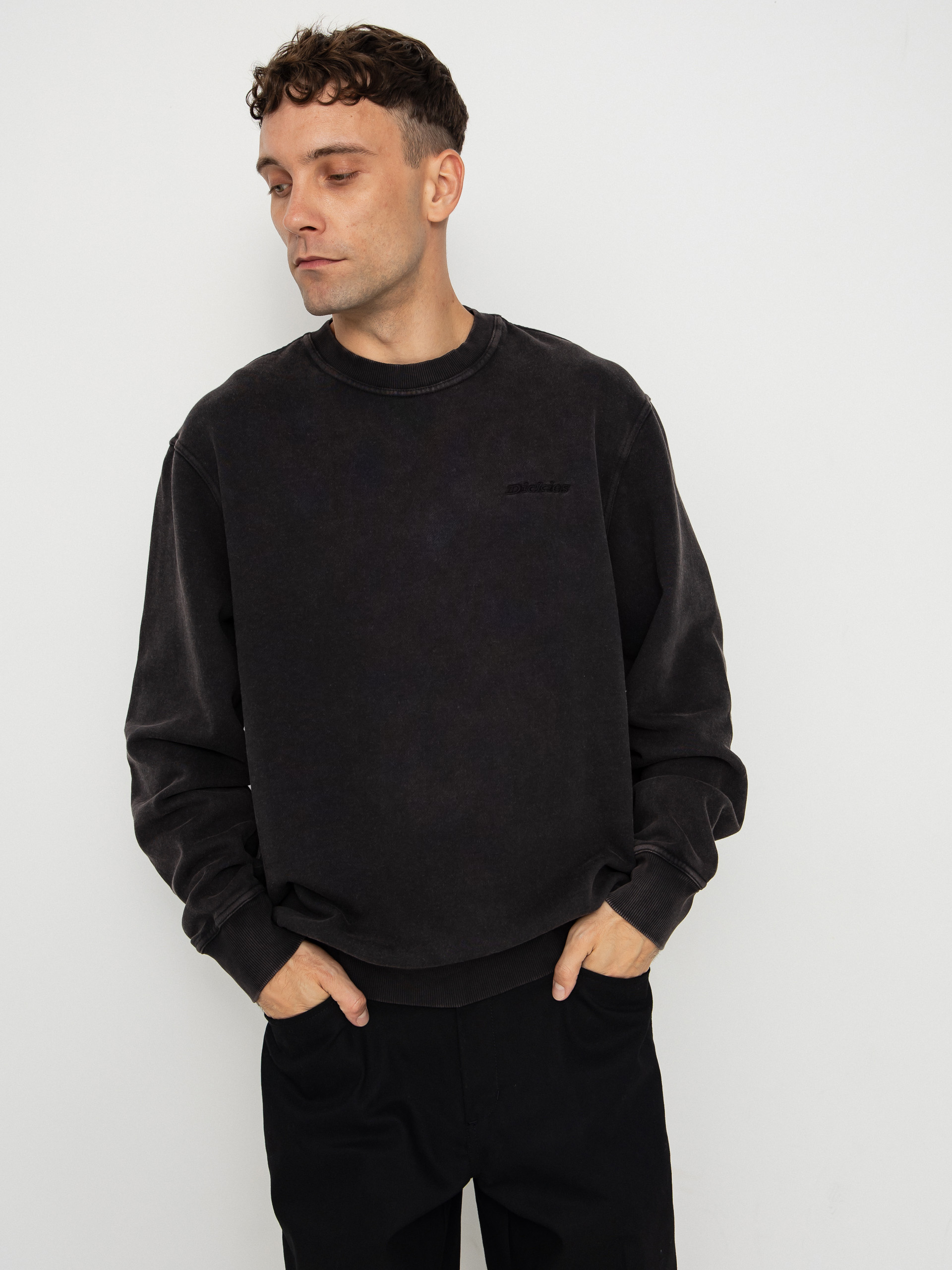 Dickies Sweatshirt Plentywood (black)