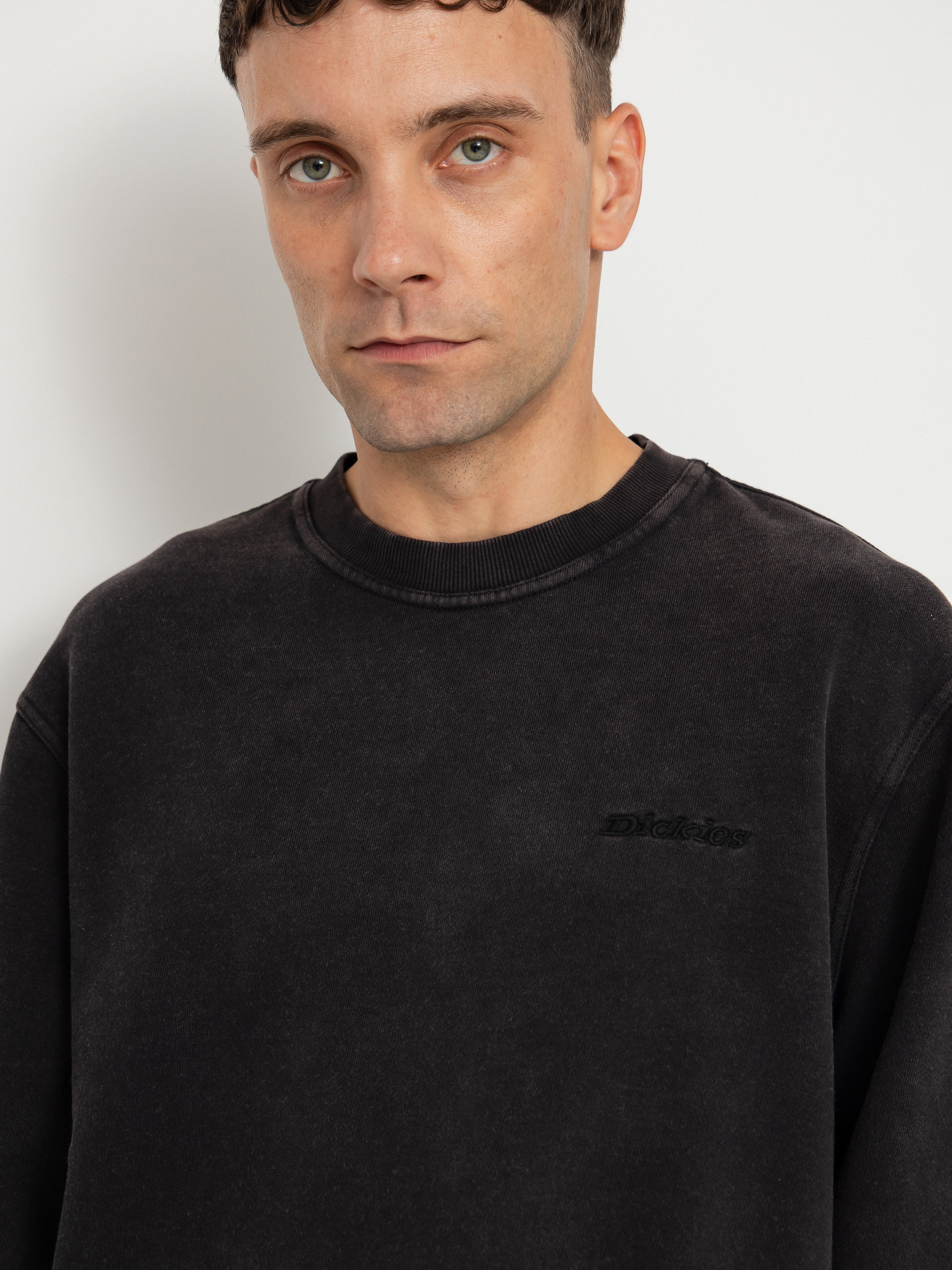 Dickies Sweatshirt Plentywood (black)
