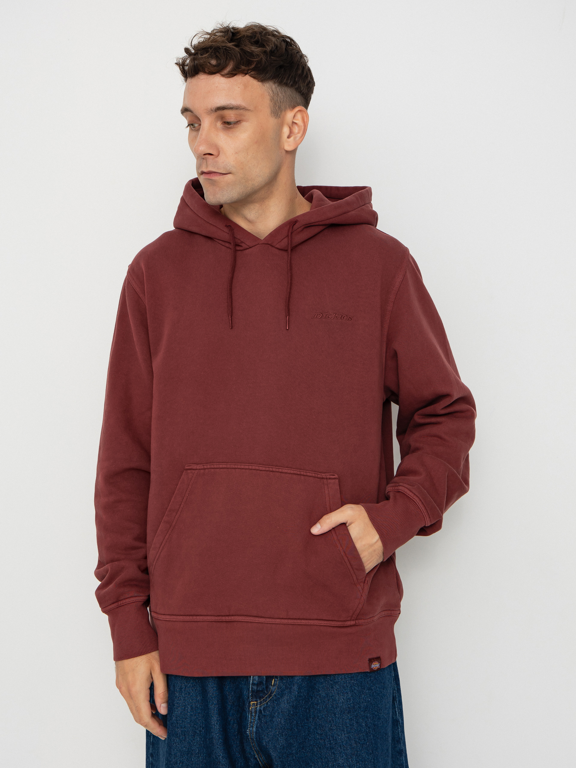 Dickies Plentywood HD Hoodie (andorra)