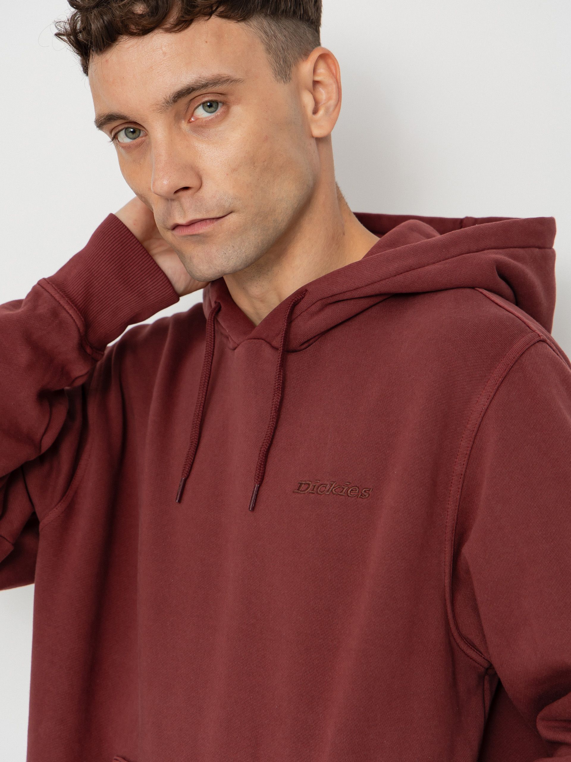 Dickies Plentywood HD Hoodie - brown (andorra)