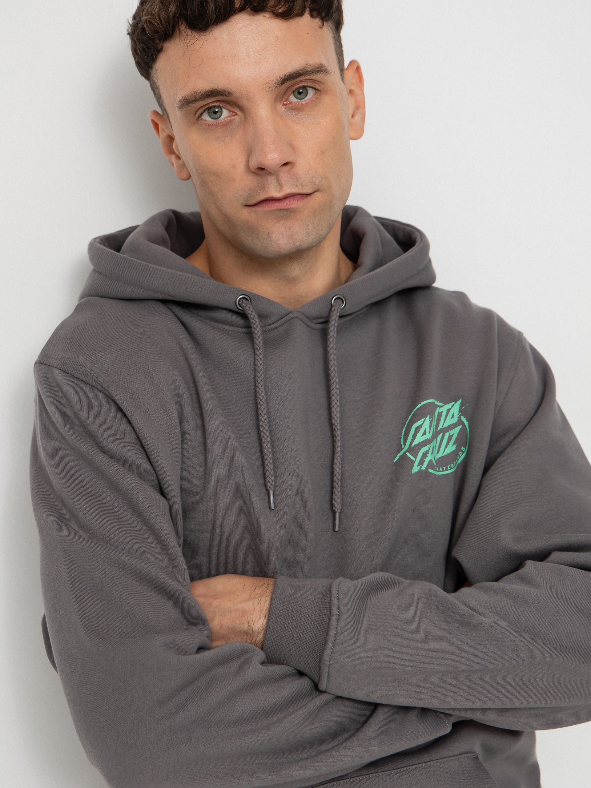 Santa Cruz Sweatshirt Wooten Cyber (flint)