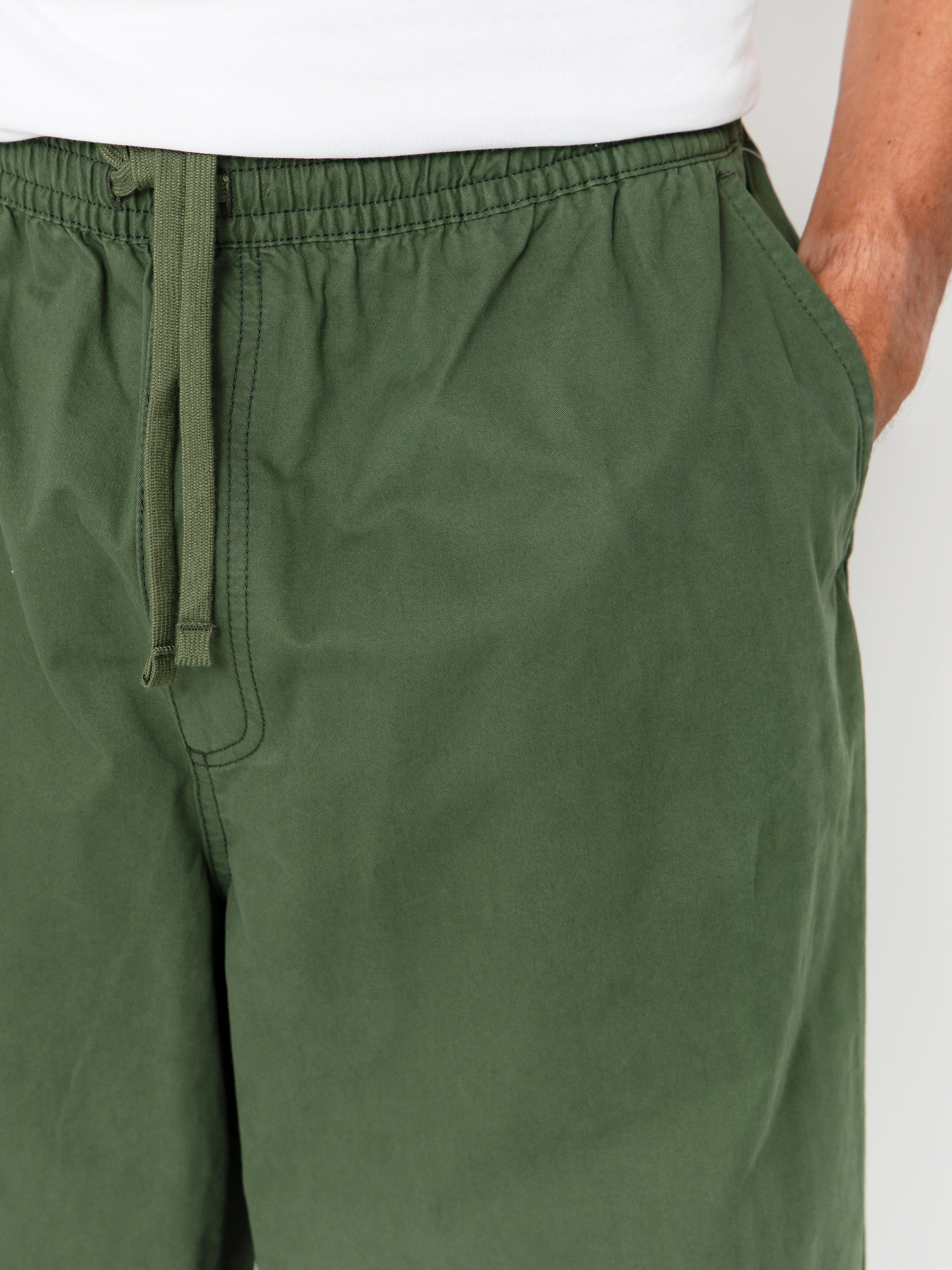 Vans Range Baggy Tapered Elastic Waist Pants (pine forest)