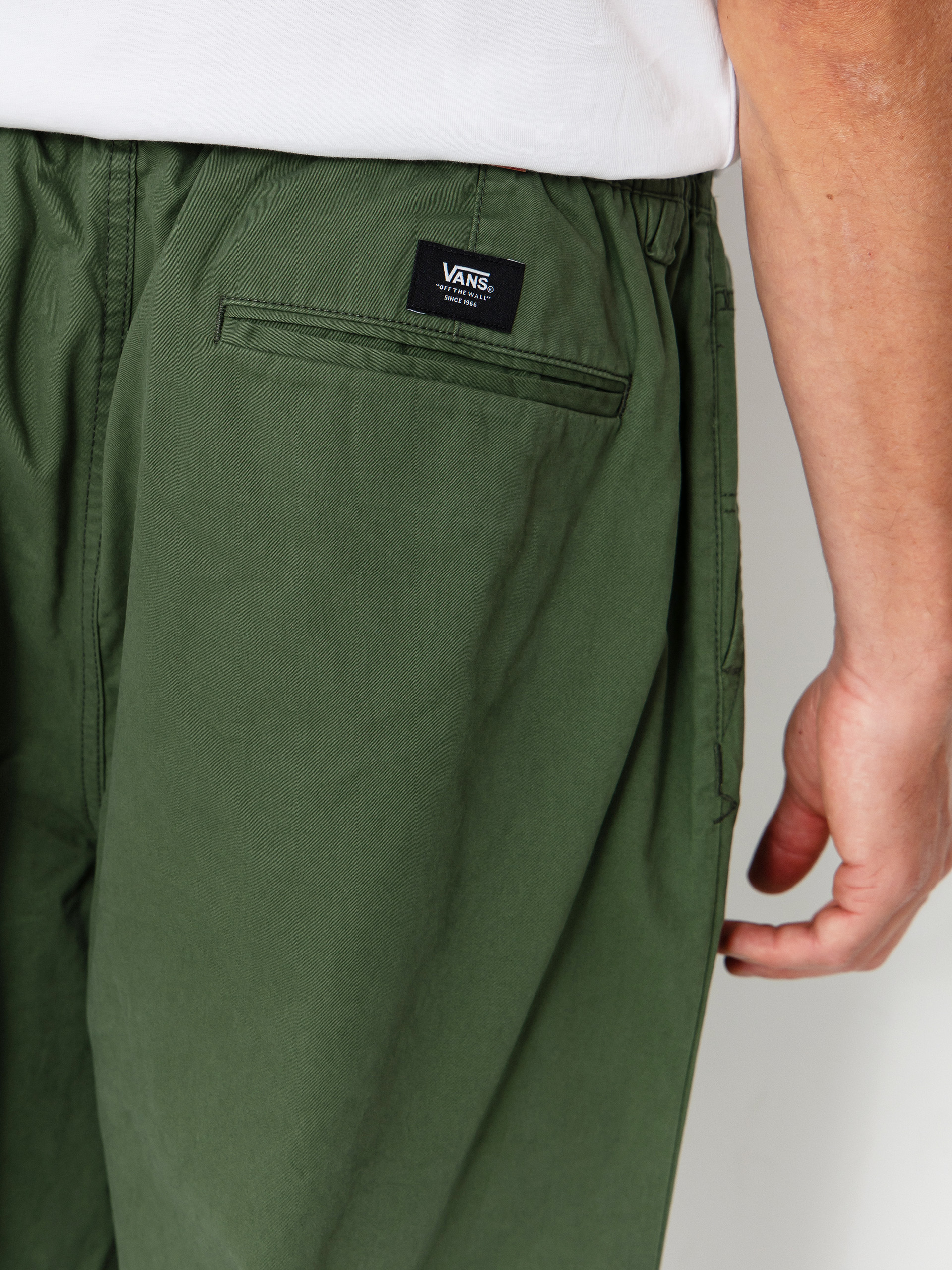 Vans Range Baggy Tapered Elastic Waist Pants (pine forest)