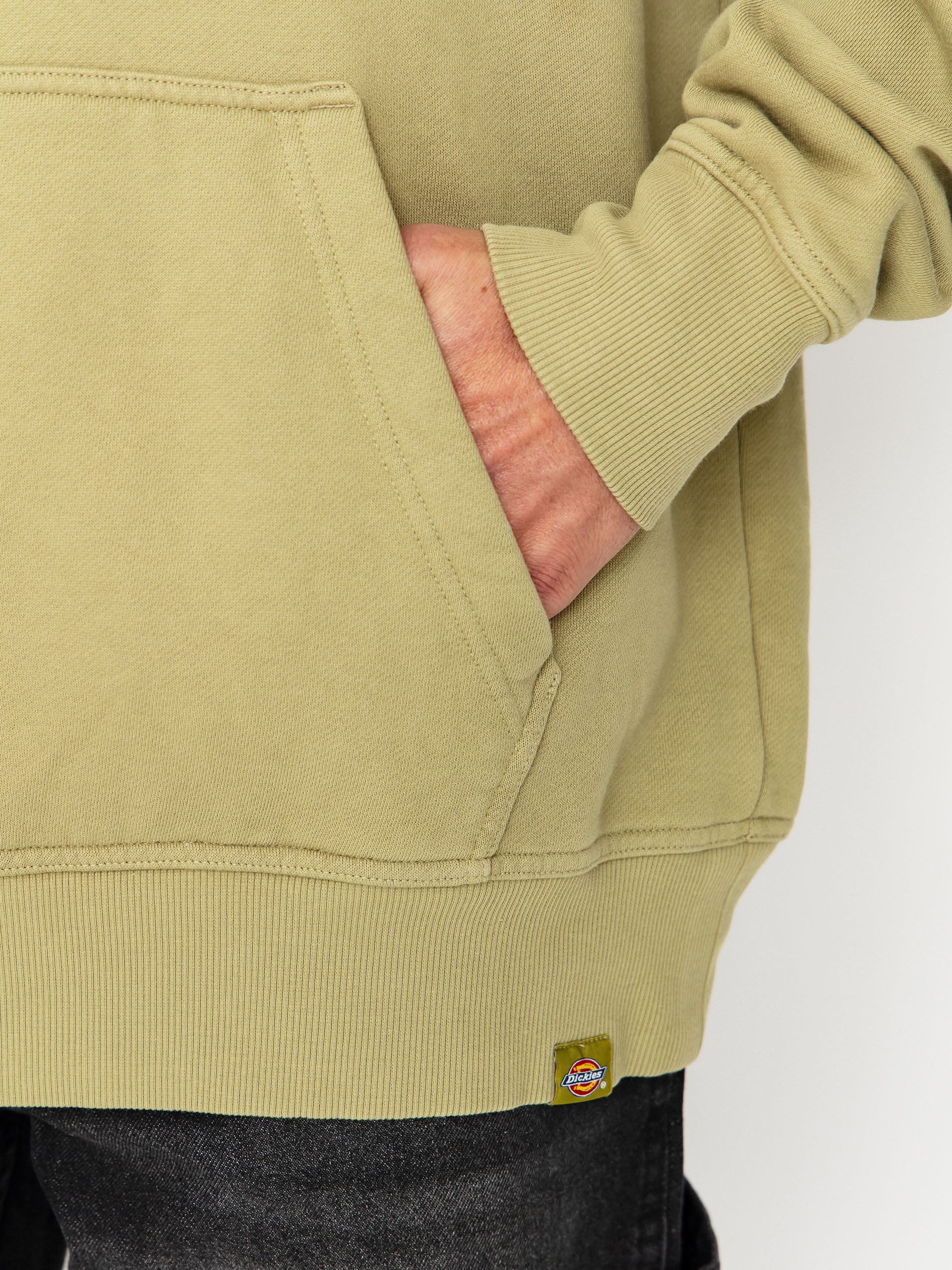 Dickies Plentywood HD Hoodie (evergreen sprig)