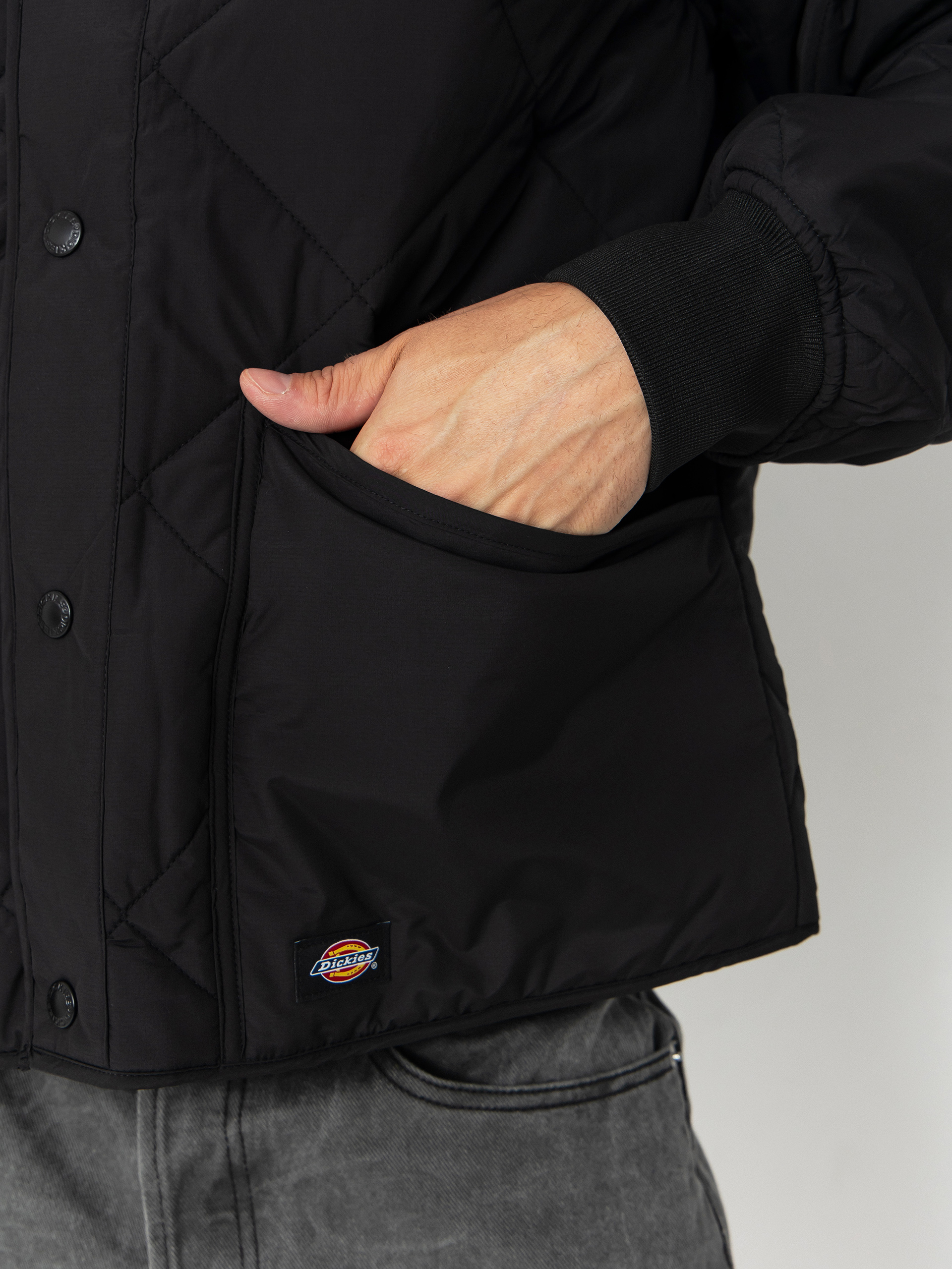 Dickies Jacket Samburg Liner (black)