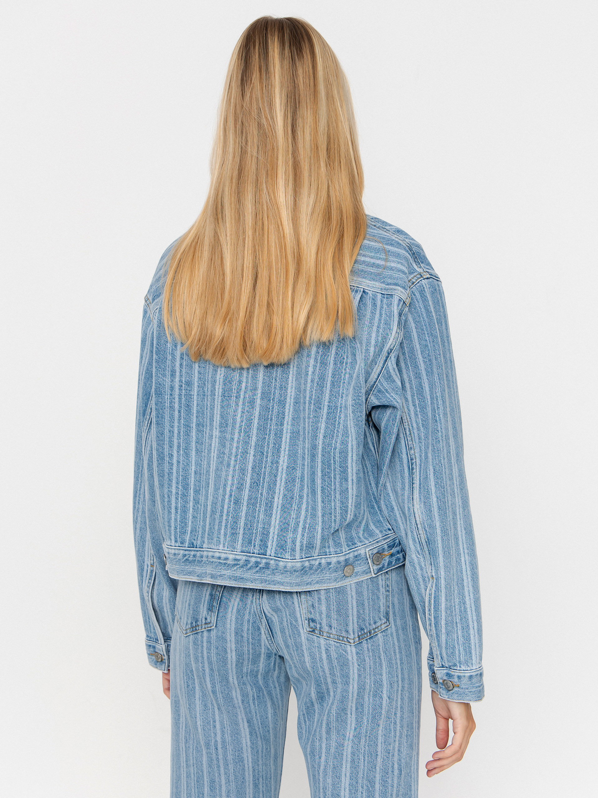 Carhartt WIP Rylan Wmn Hose (rylan stripe/blue/stone bleached)