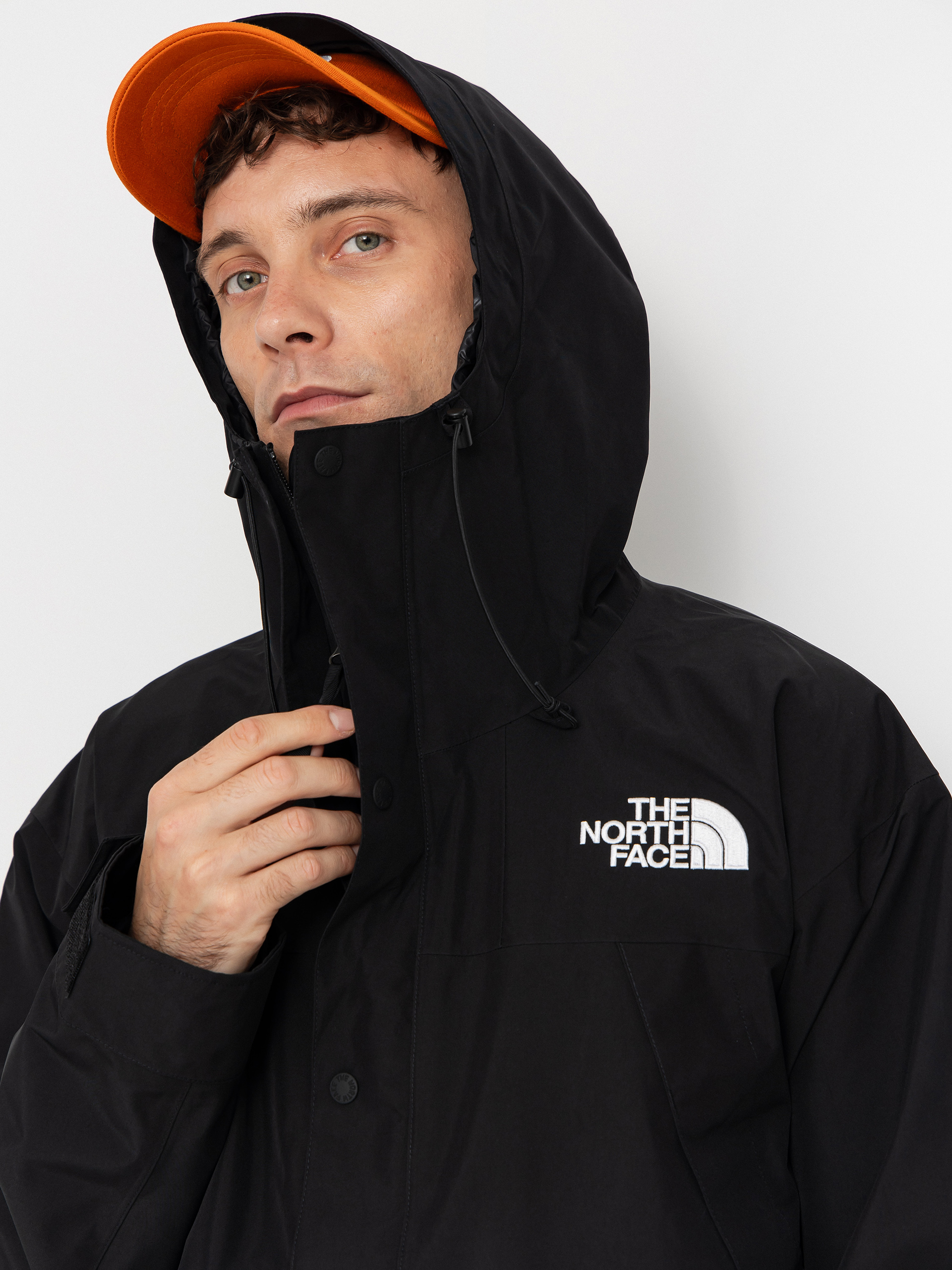 The North Face GTX Mountain Jacket - black (tnfblack/tnfblack/tnfblck)