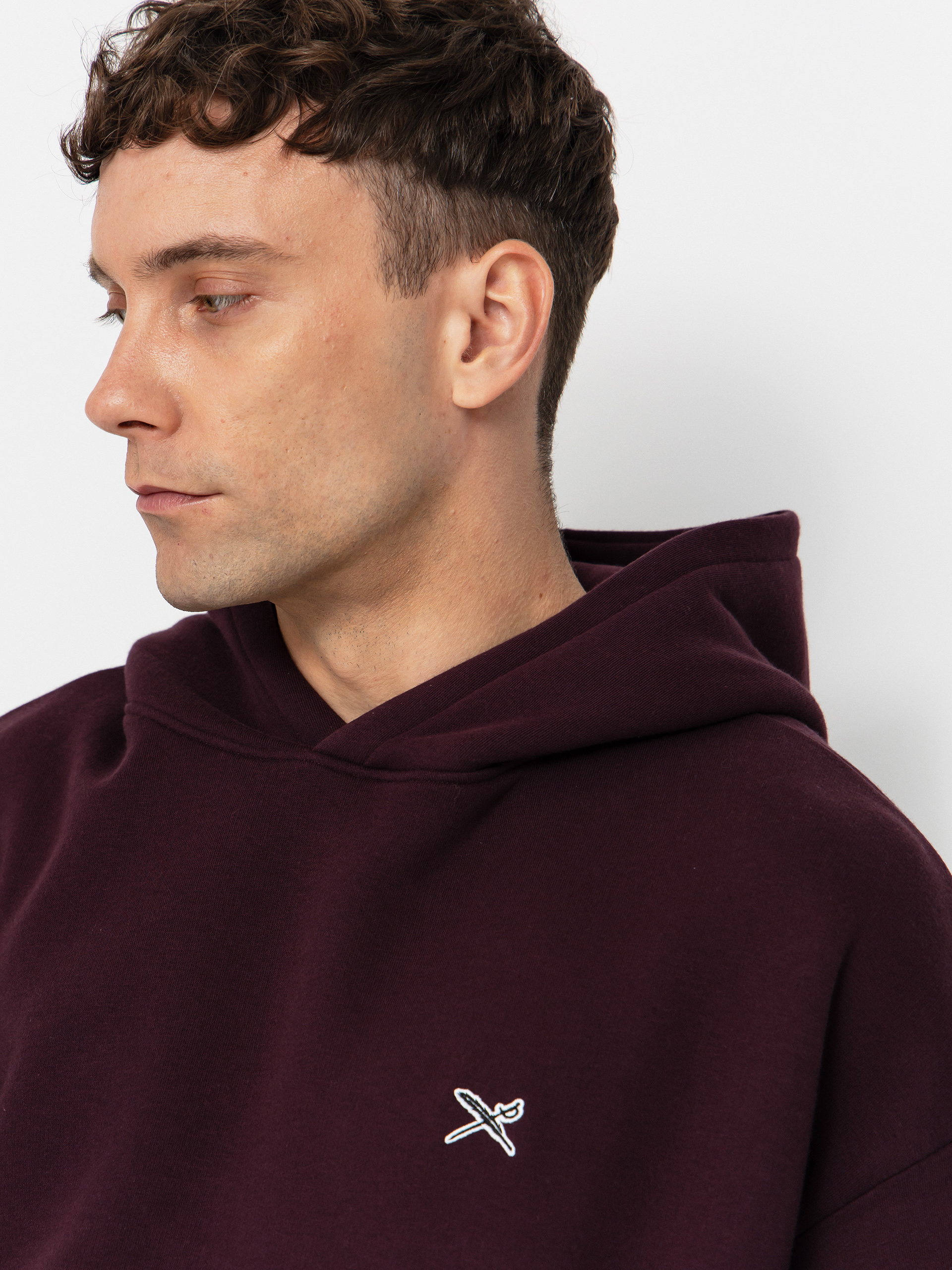 Iriedaily Hoodie Flagloose HD (aubergine)