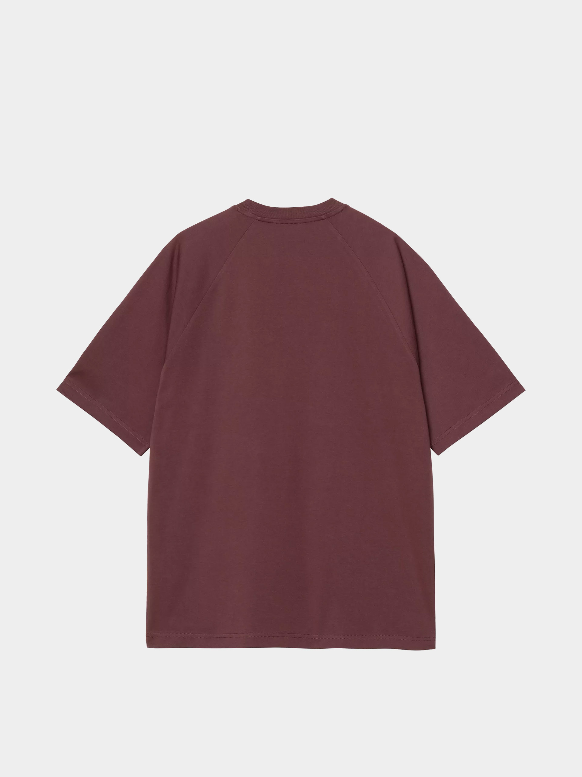 Carhartt WIP T-Shirt Ray (rondo)