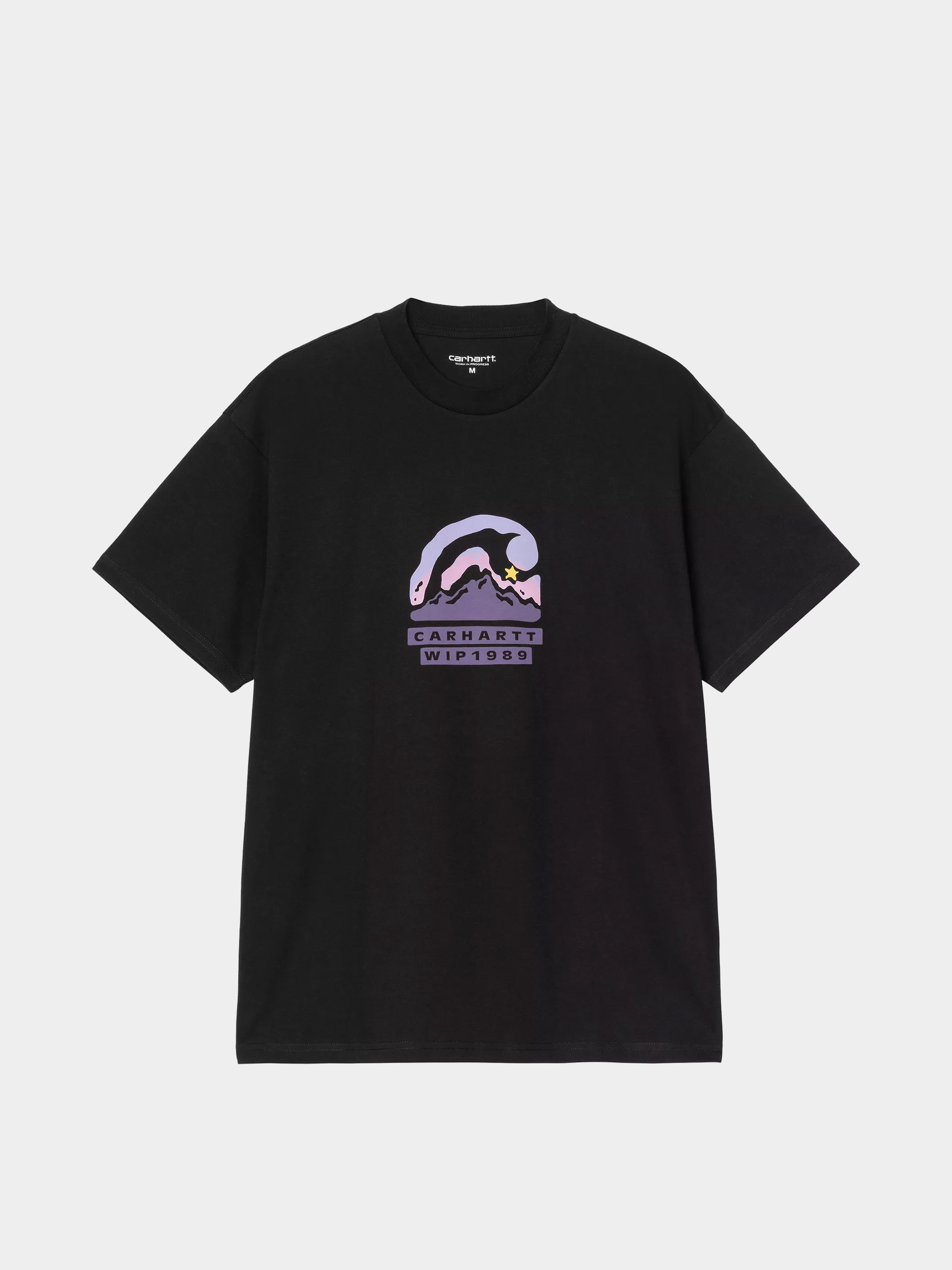 Carhartt WIP T-Shirt Rising Helix (black)