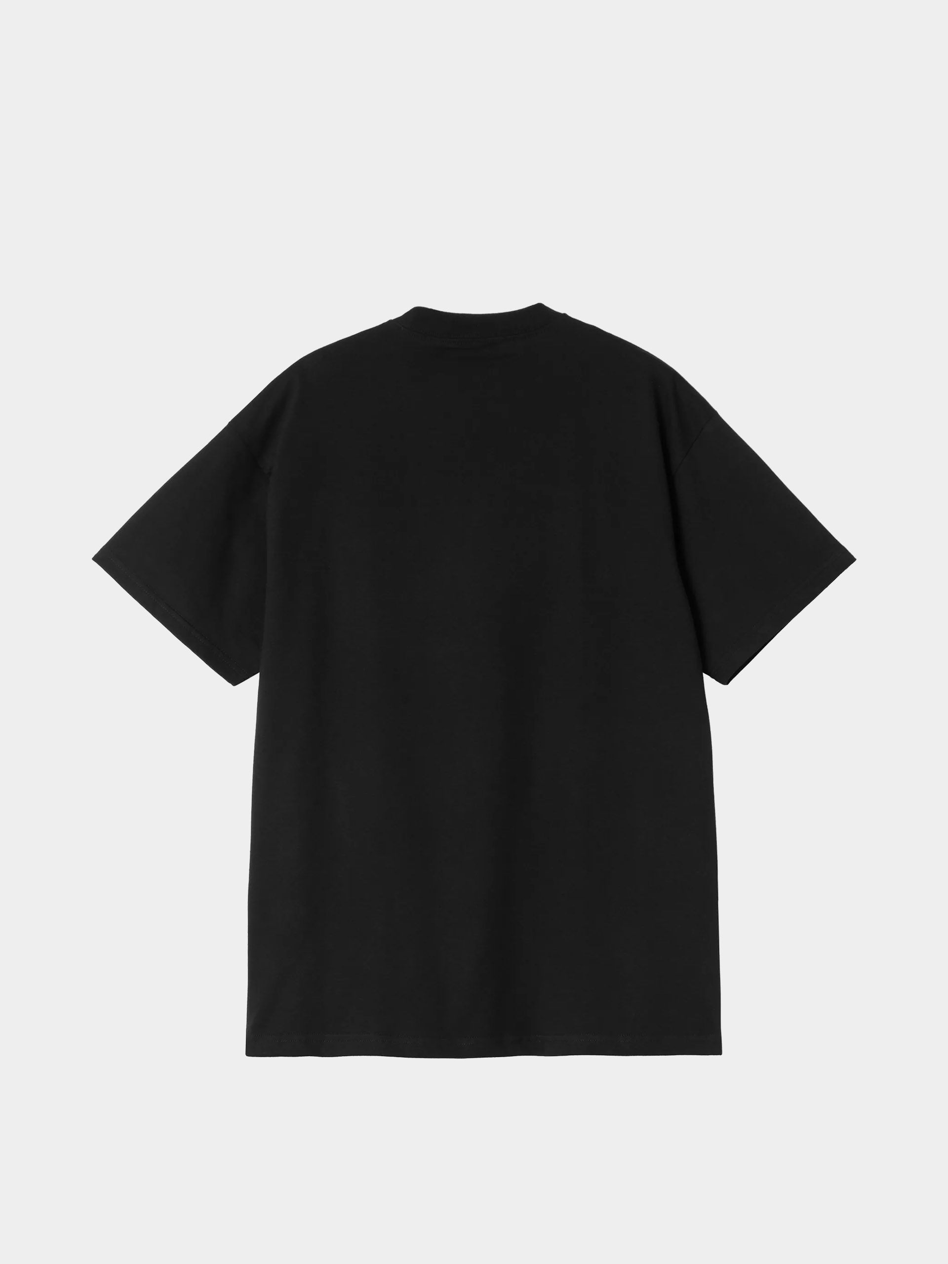 Carhartt WIP T-Shirt Theory And Practice (black)