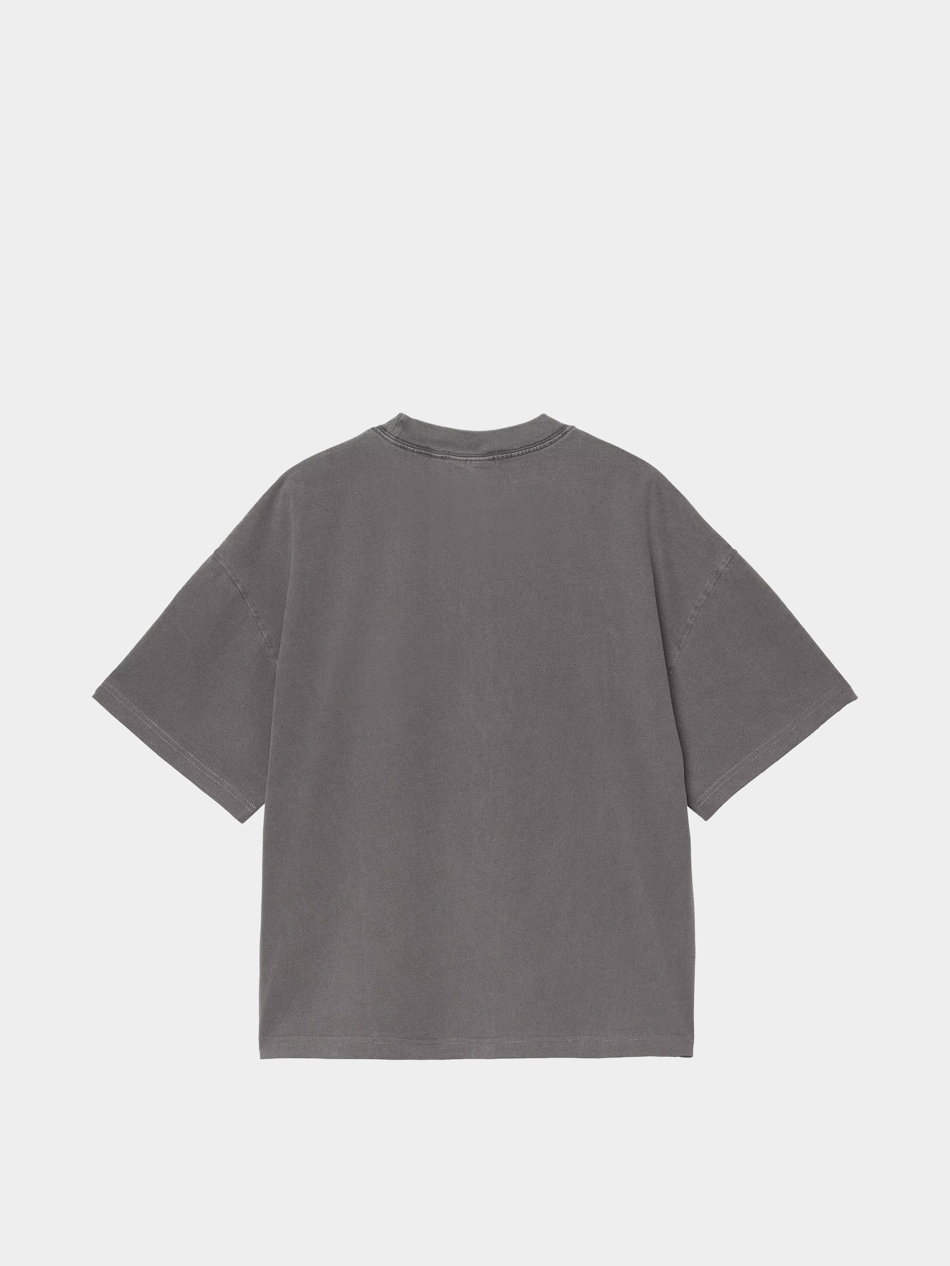 Carhartt WIP T-Shirt Benton (graphite/garment dyed)