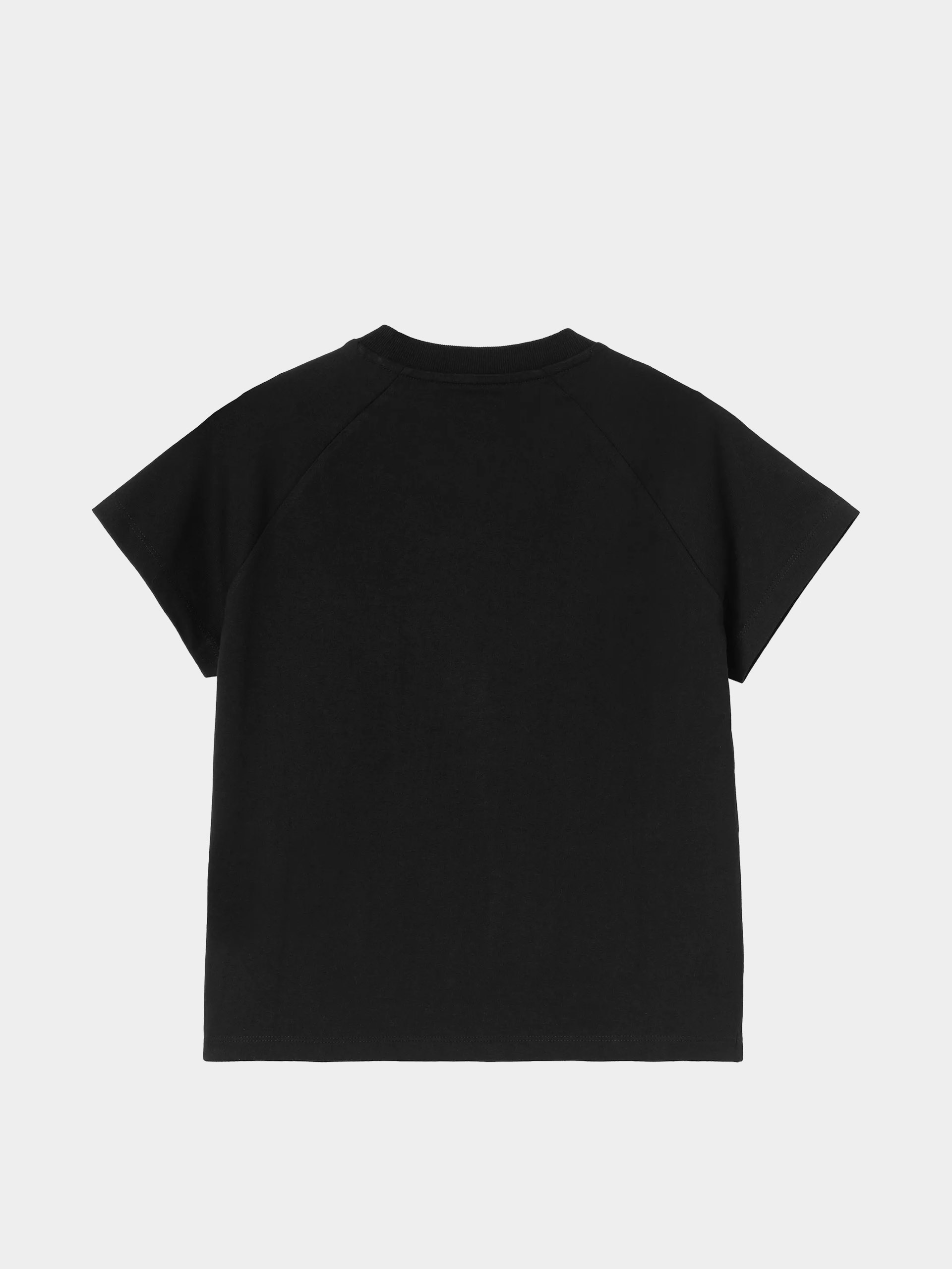 Carhartt WIP T-Shirt Ray Wmn (black)