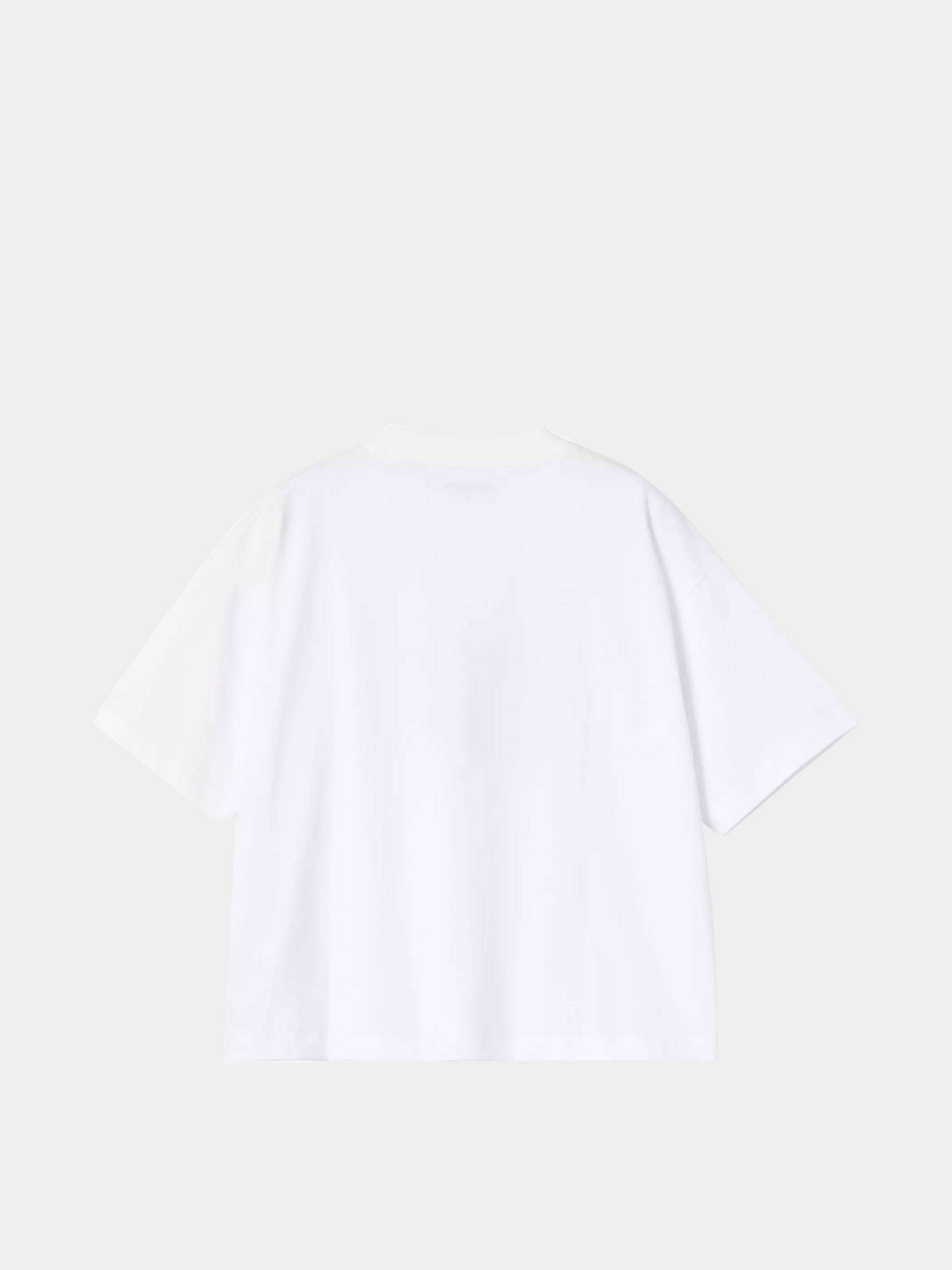 Carhartt WIP T-Shirt Theory And Practice Wmn (white)