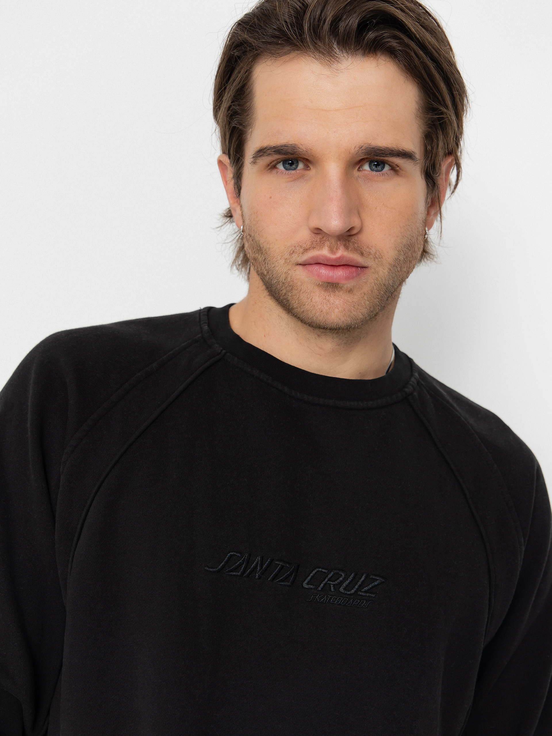 Santa Cruz Sweatshirt Team (black)