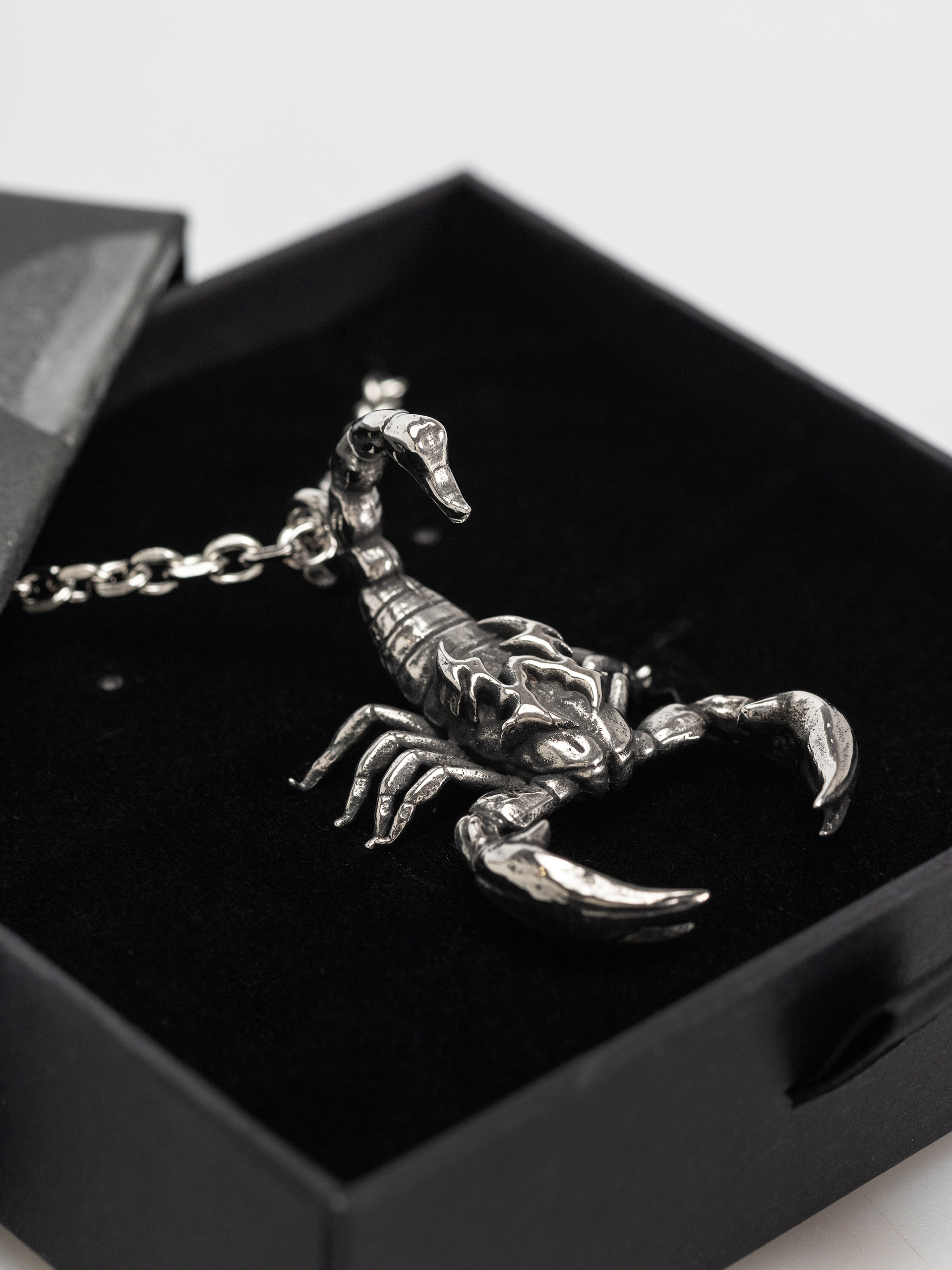 Wasted Paris Bane Necklace Akcesoria (silver)