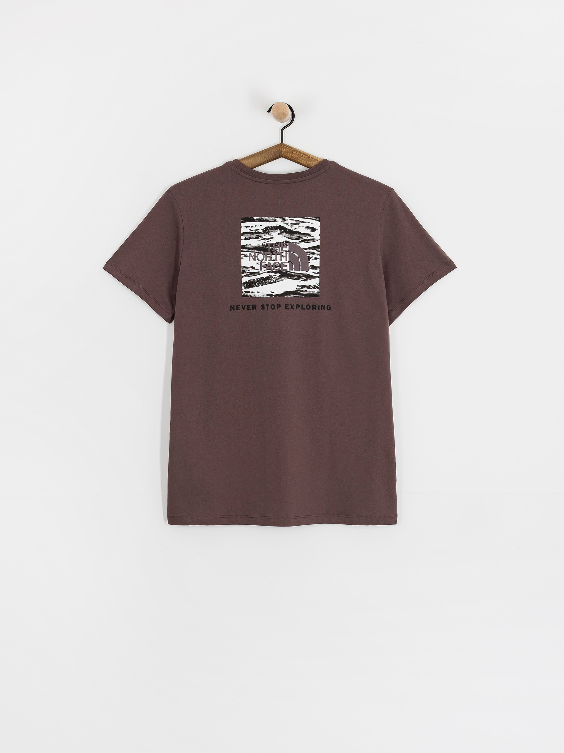 The North Face Box Nse Edge Of Light Infill Relaxed T-Shirt (tawny quartz/tnf black)