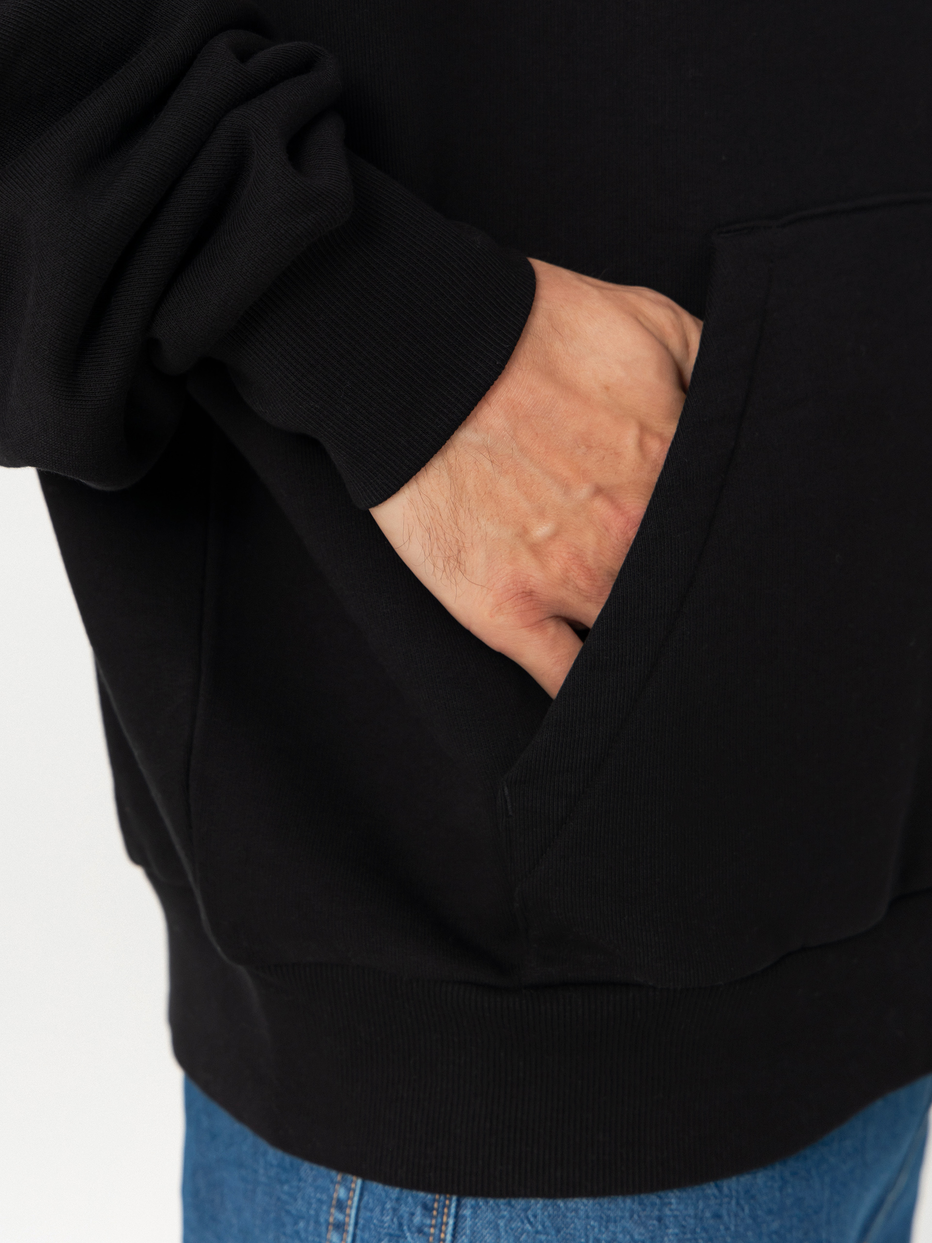 Carhartt WIP Hoodie Ray HD (black)