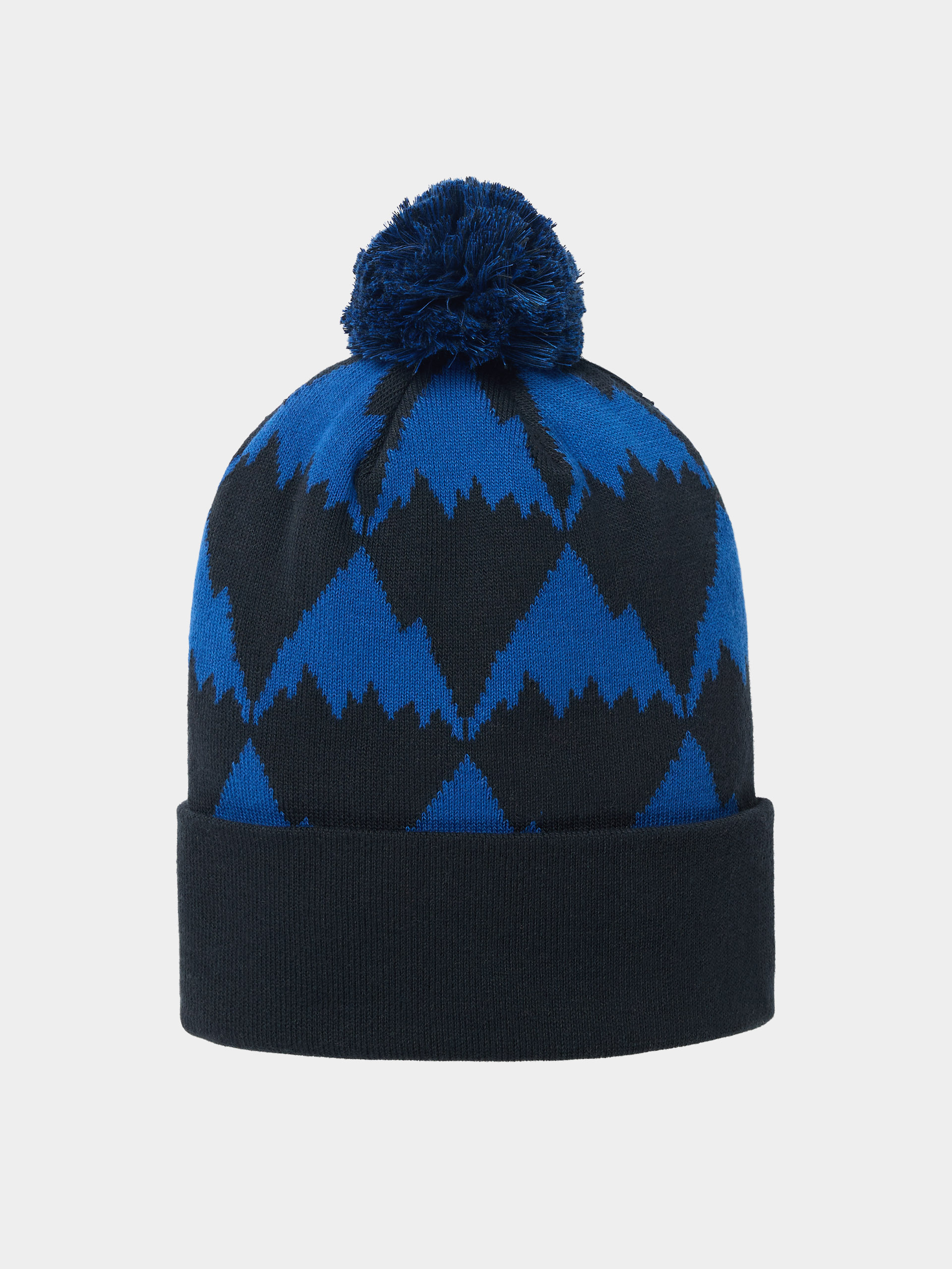 Burton Recycled Trope Beanie (jake blue mountains)