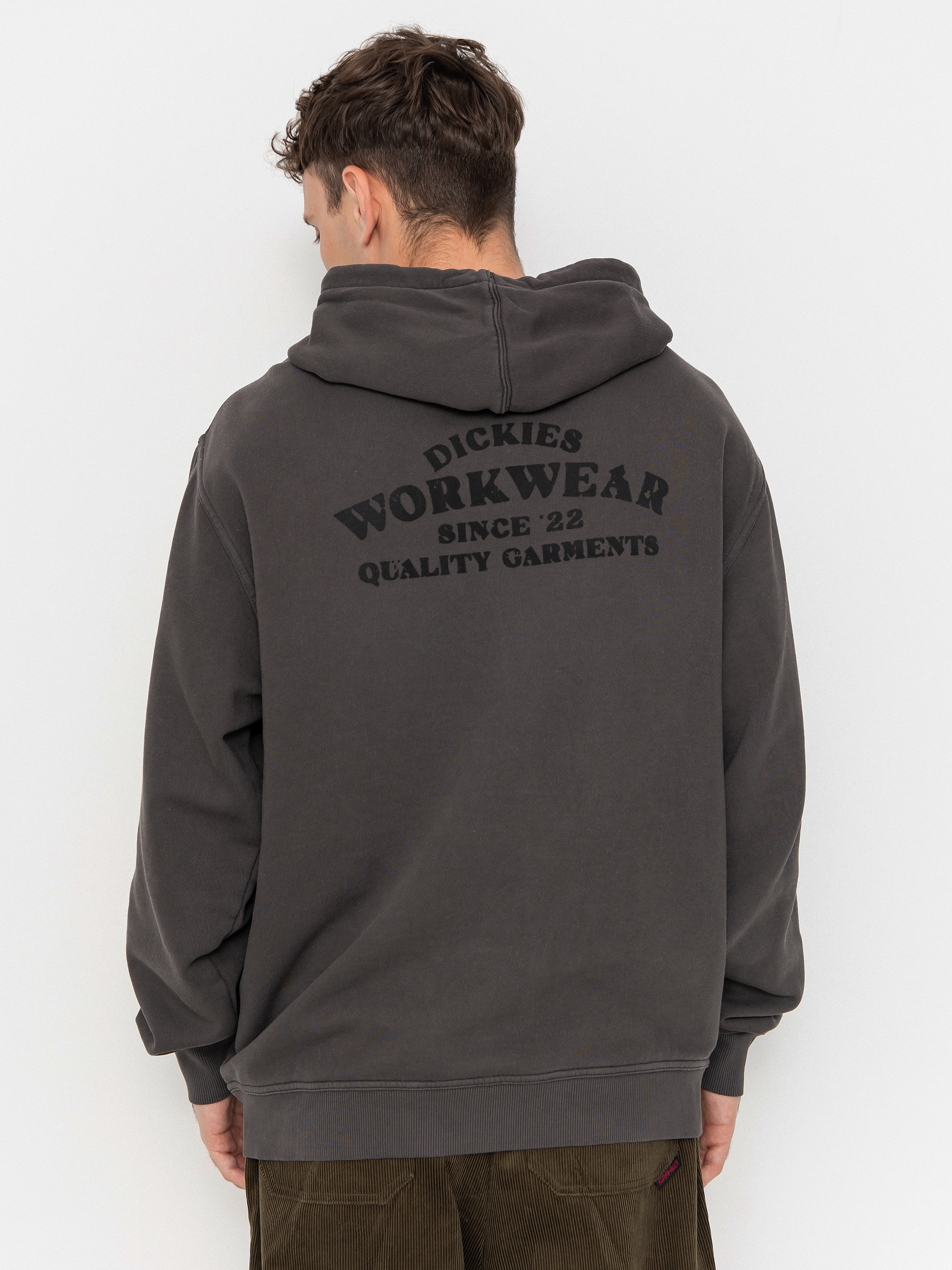 Dickies Oakport HD Hoodie - brown (cappuccino)