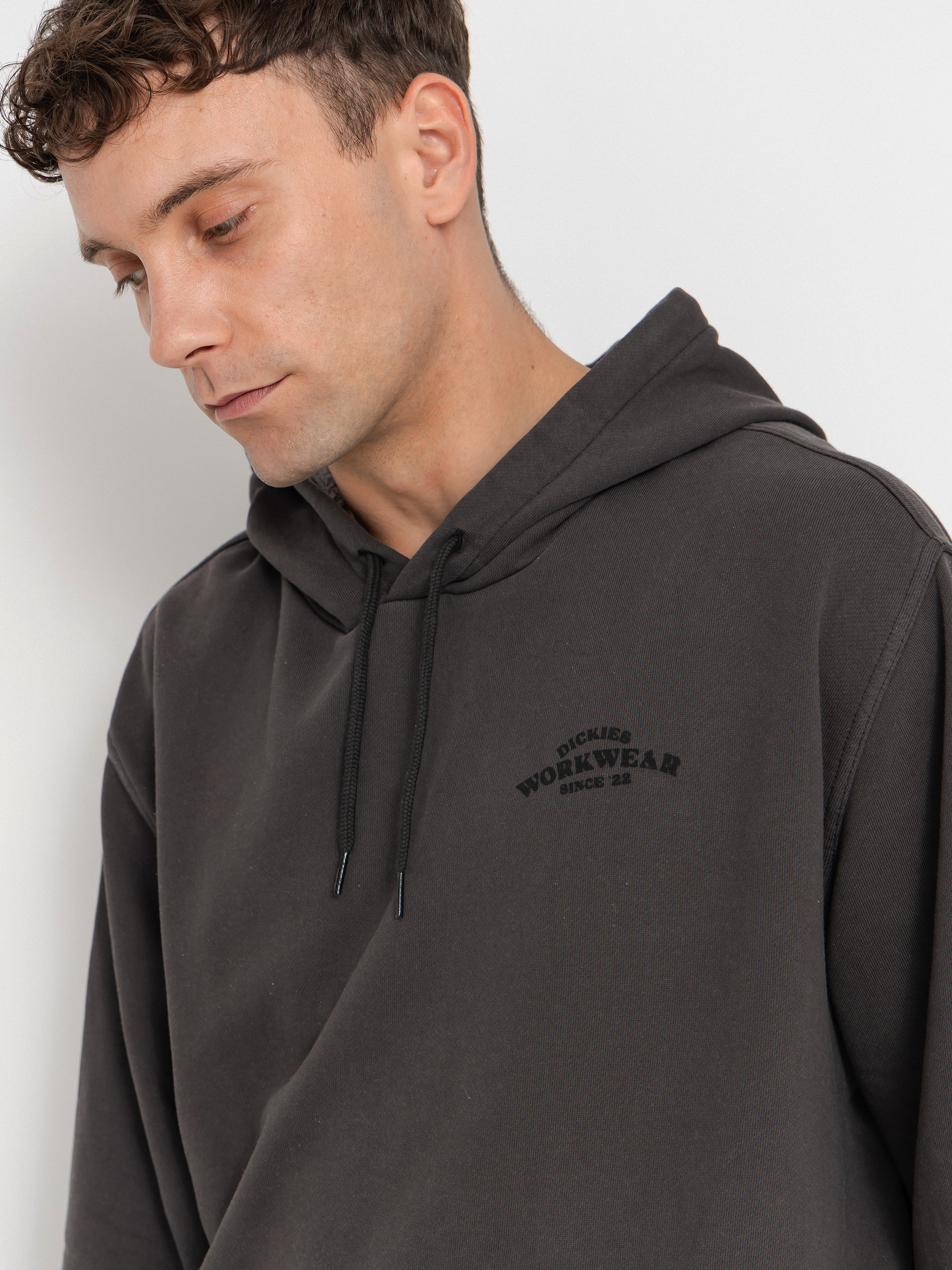 Dickies Christiana HD Hoodie (black)
