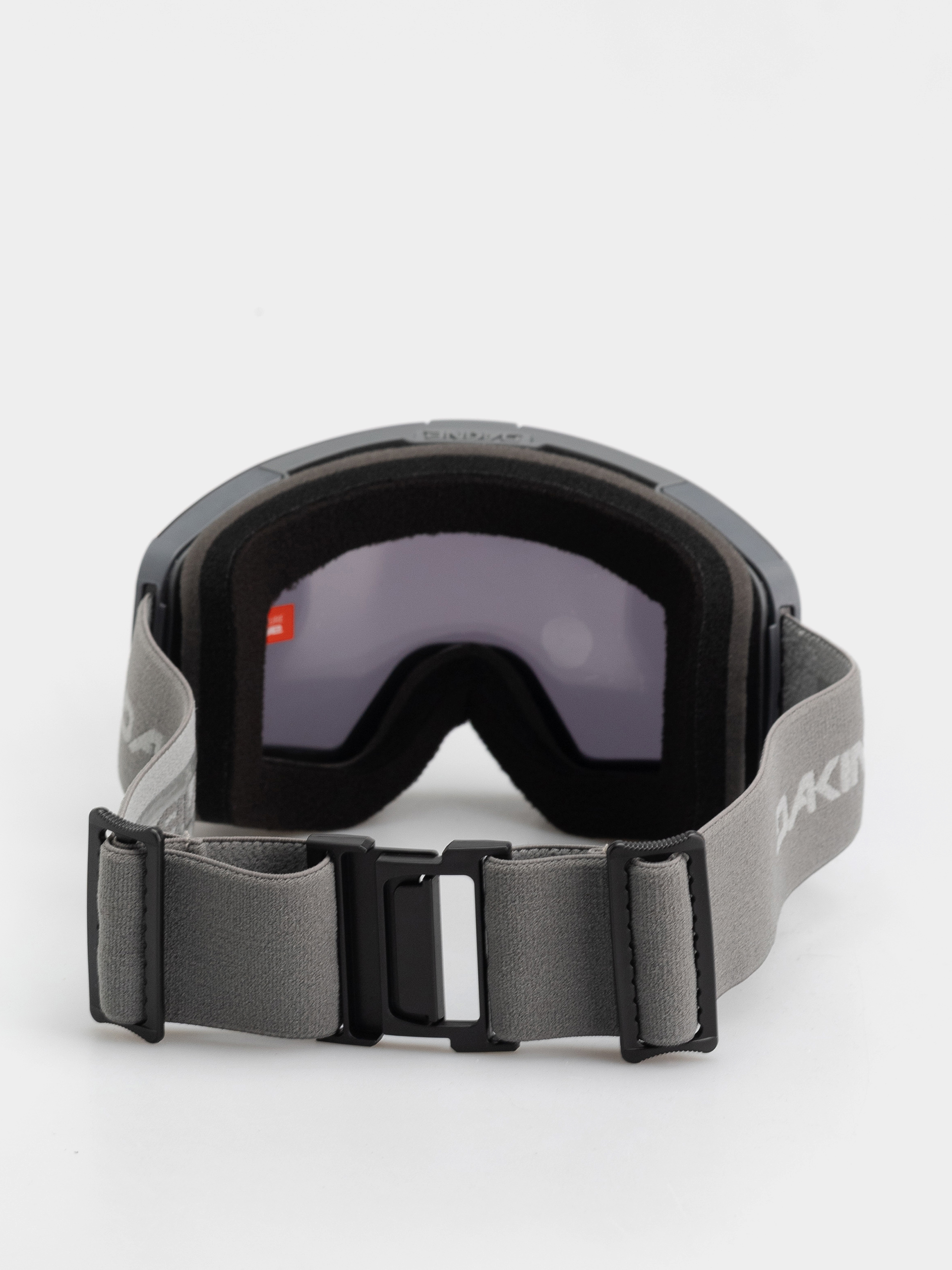Dakine Sector Goggles (castlerock)