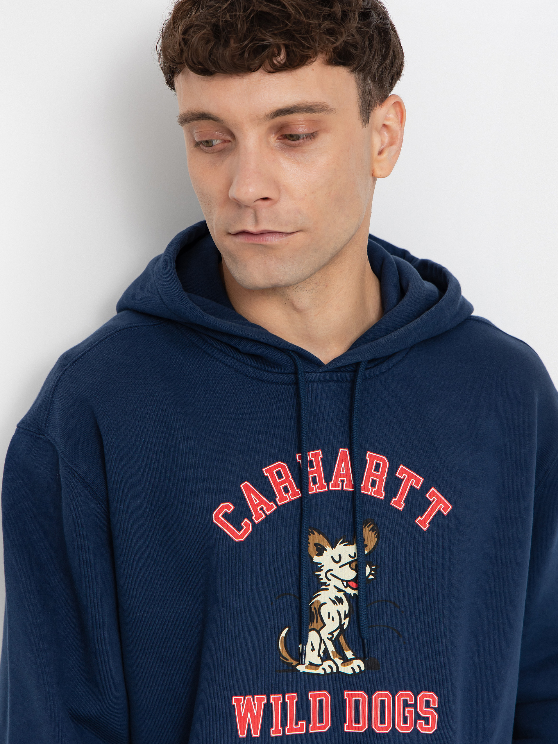 Carhartt WIP Hoodie Wild Dog HD (jupiter)